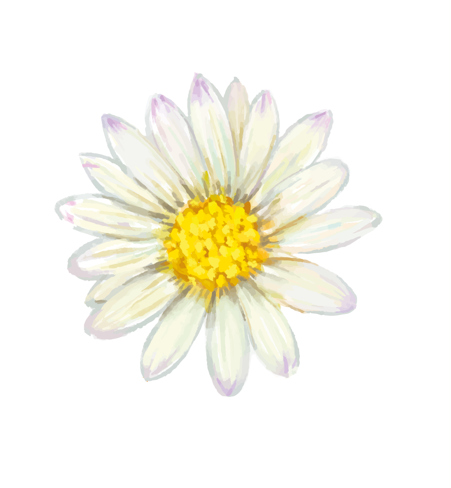 Flor blanca con centro amarillo en estilo acuarela.