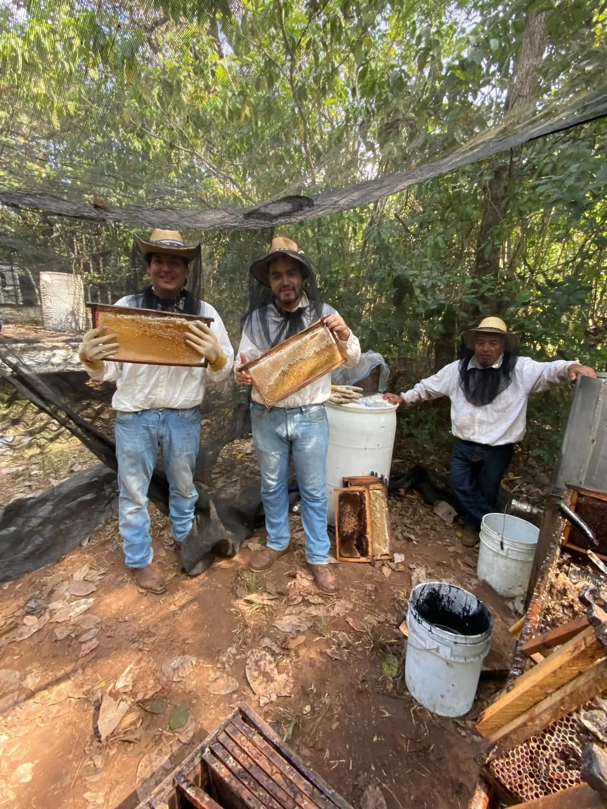 Tres personas en un bosque recolectando miel. Dos sosteniendo cuadros de miel y una a su lado. Rodeados de equipos y cubetas para miel.