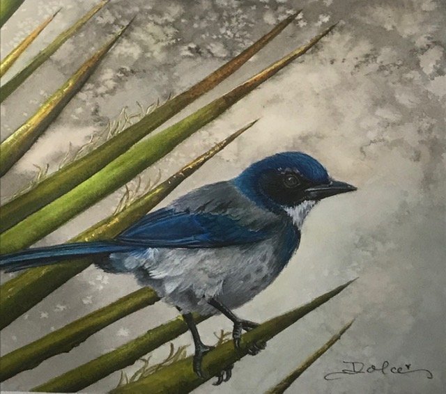 Sharon Dolce OKeefe 2