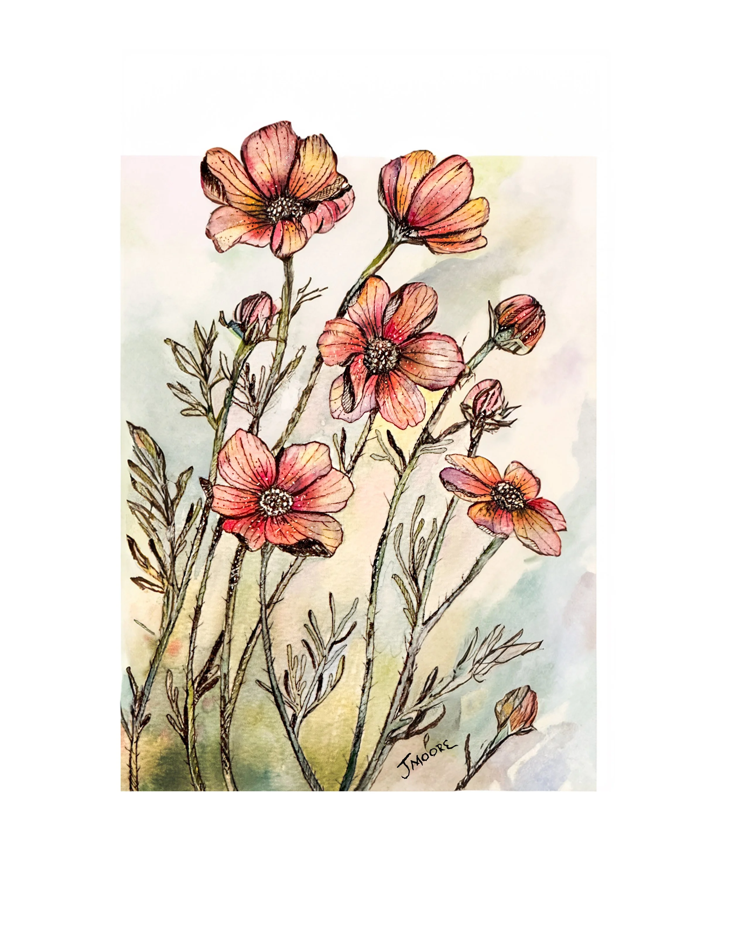 Poppies.jpg