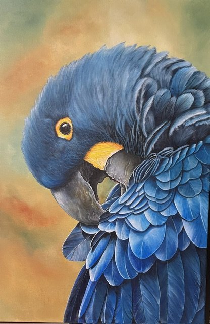Blue McCaw