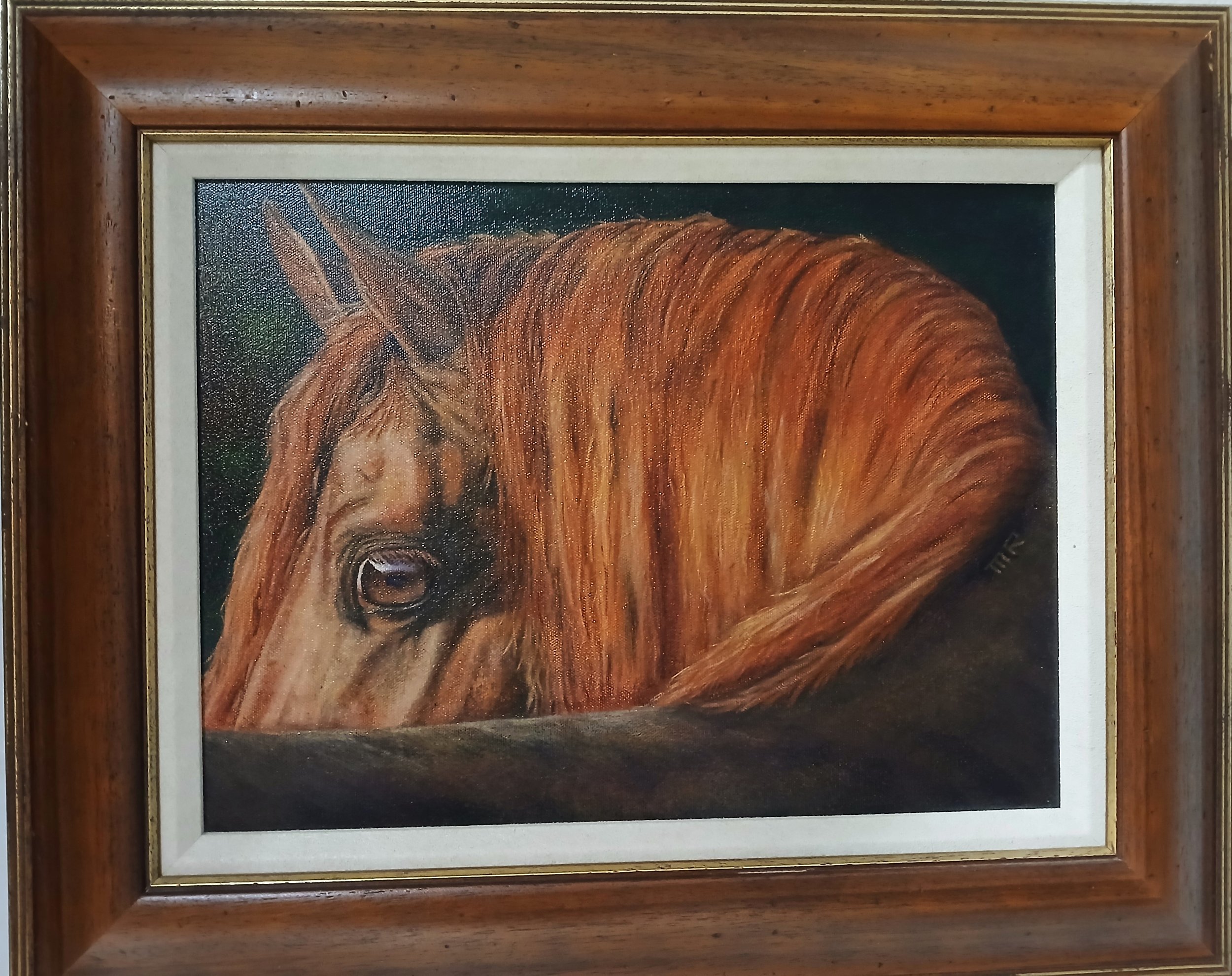 Strawberry Roan