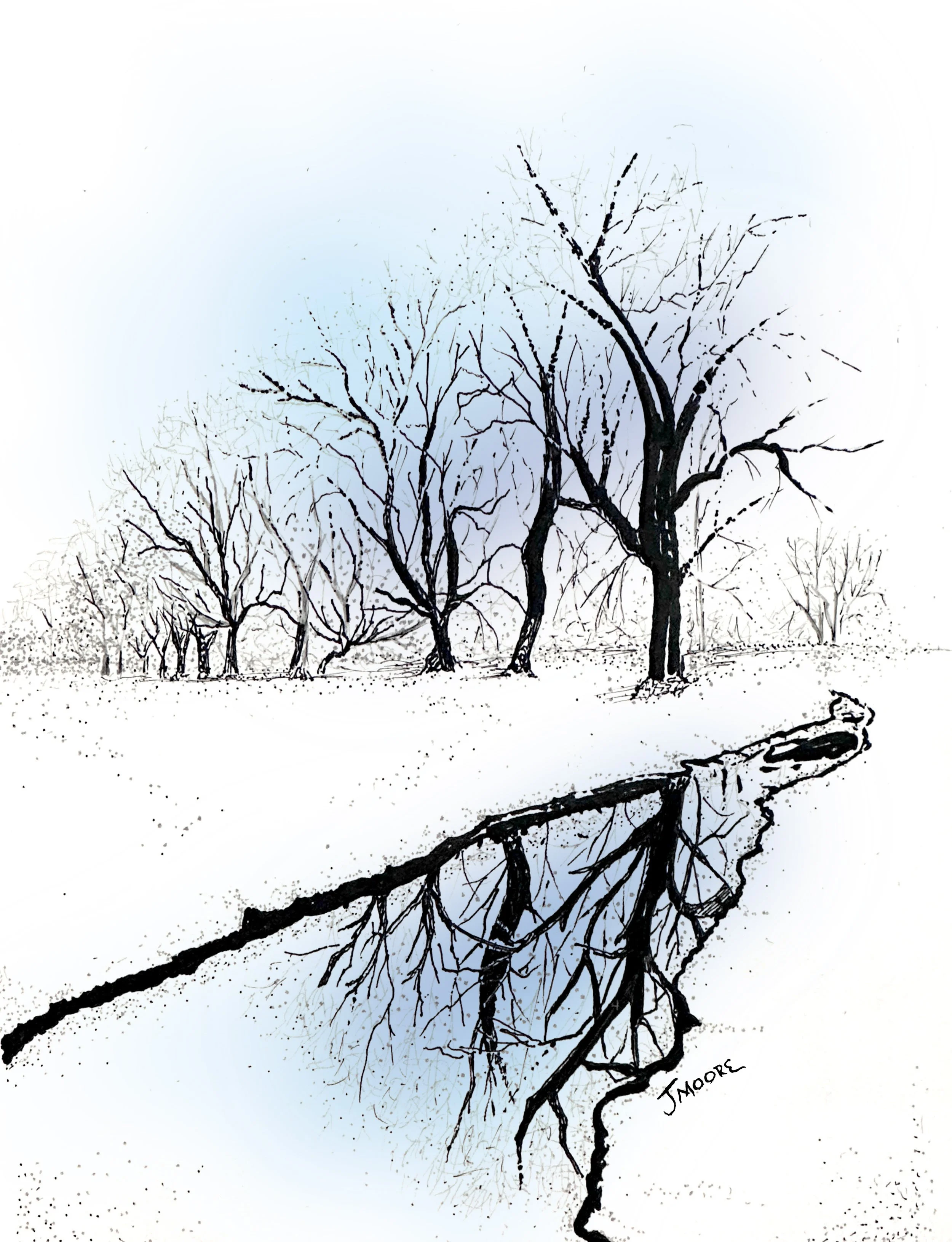 Winter Tree Reflection.jpg