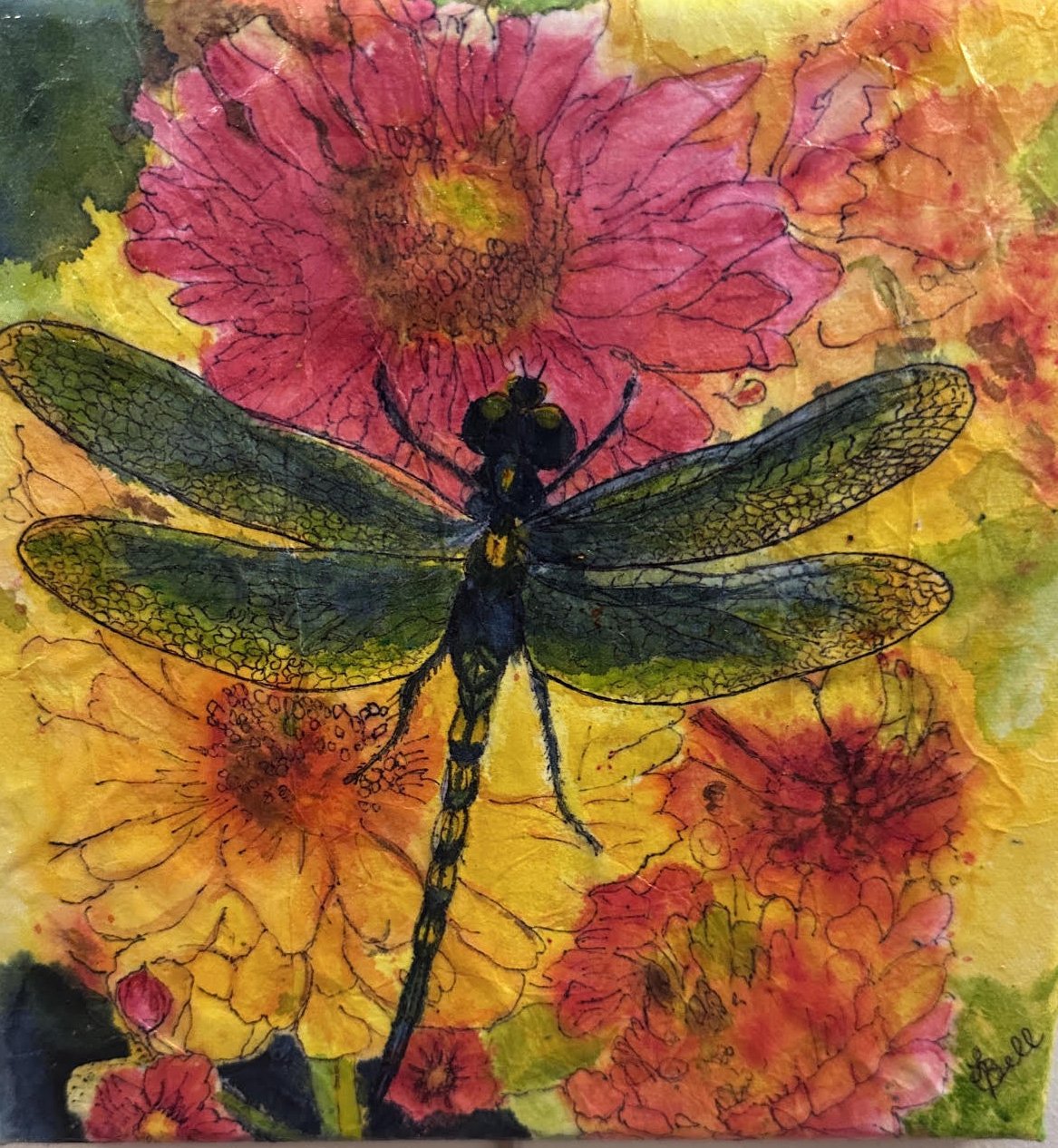 Dragonfly Delight
