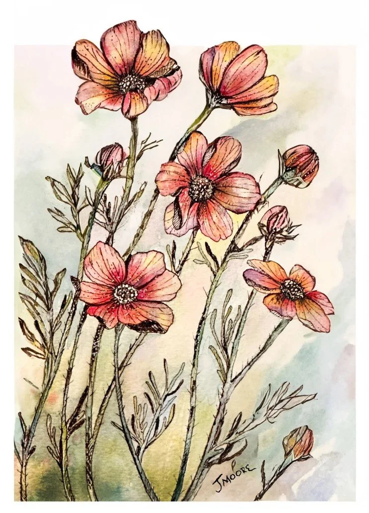Pen and Ink with Watercolor Wash Workshop