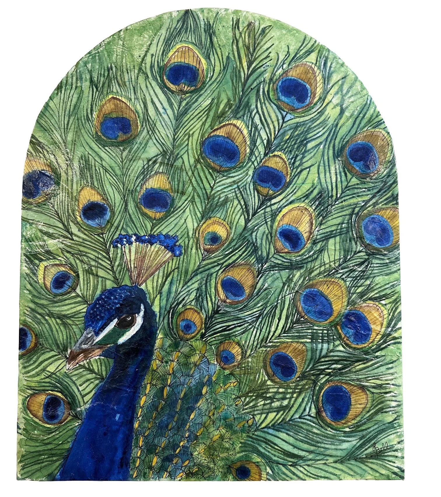 Peacock Hello