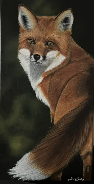 Foxy