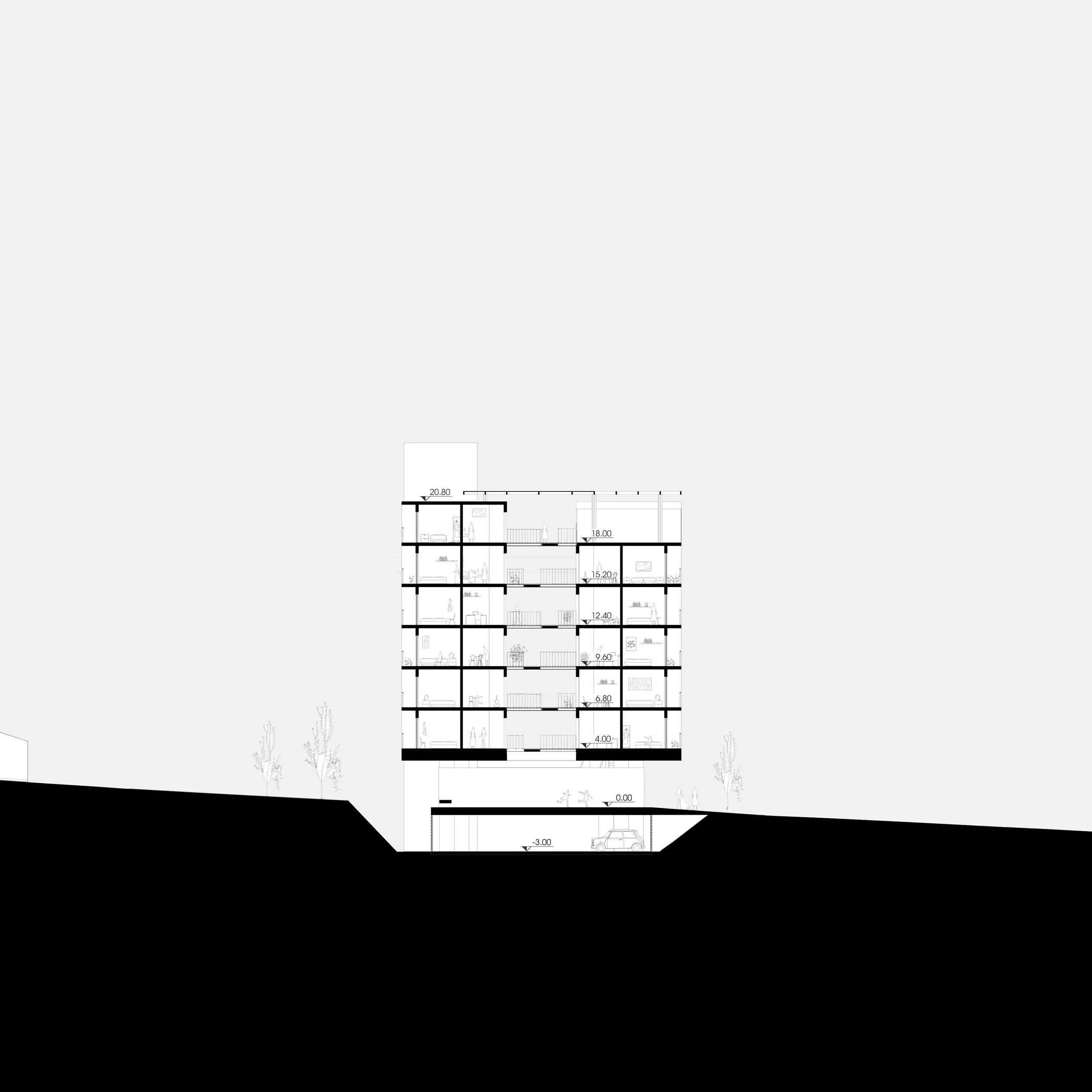 Corte Transversal 1_250.jpg