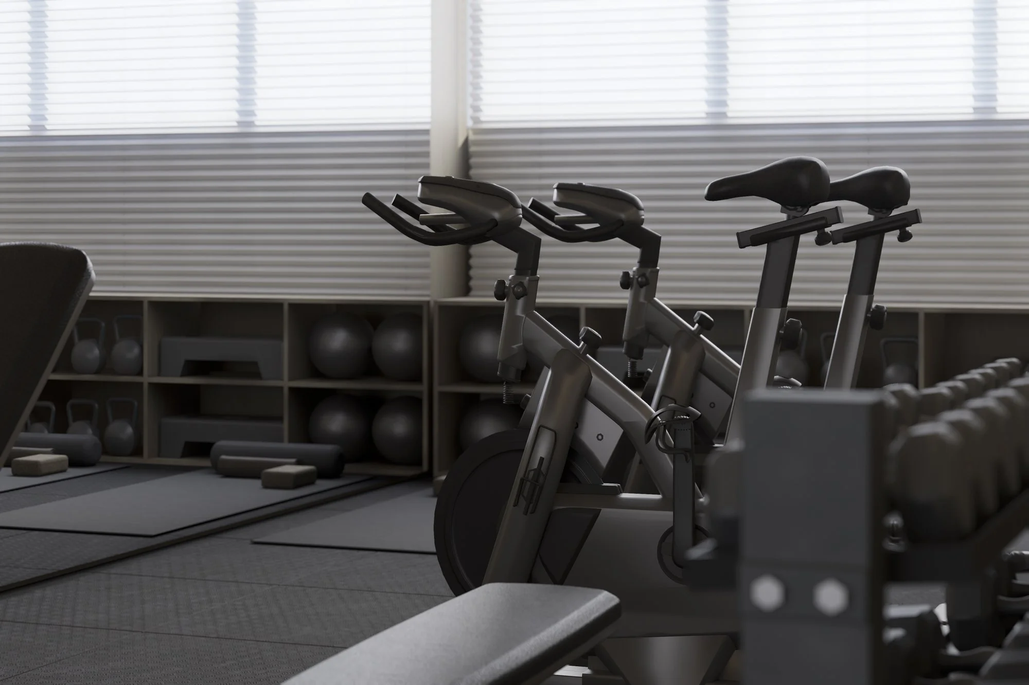 FITNESS F_2K.jpg