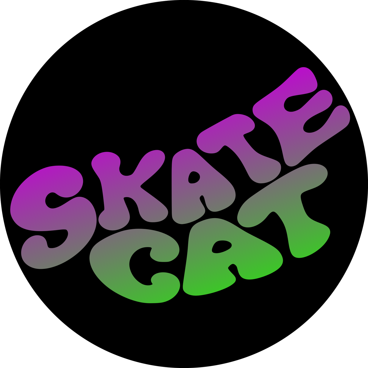 SKATE CAT