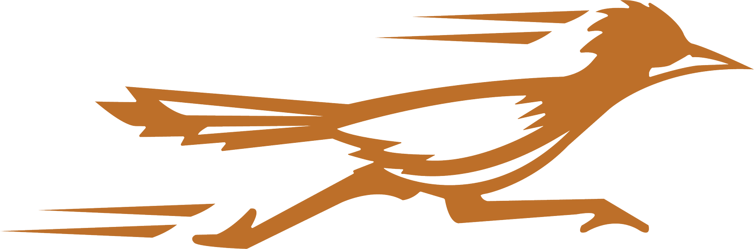 Roadrunner Cleaning Services