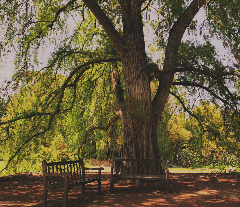 therapy emdr trauma mental health
