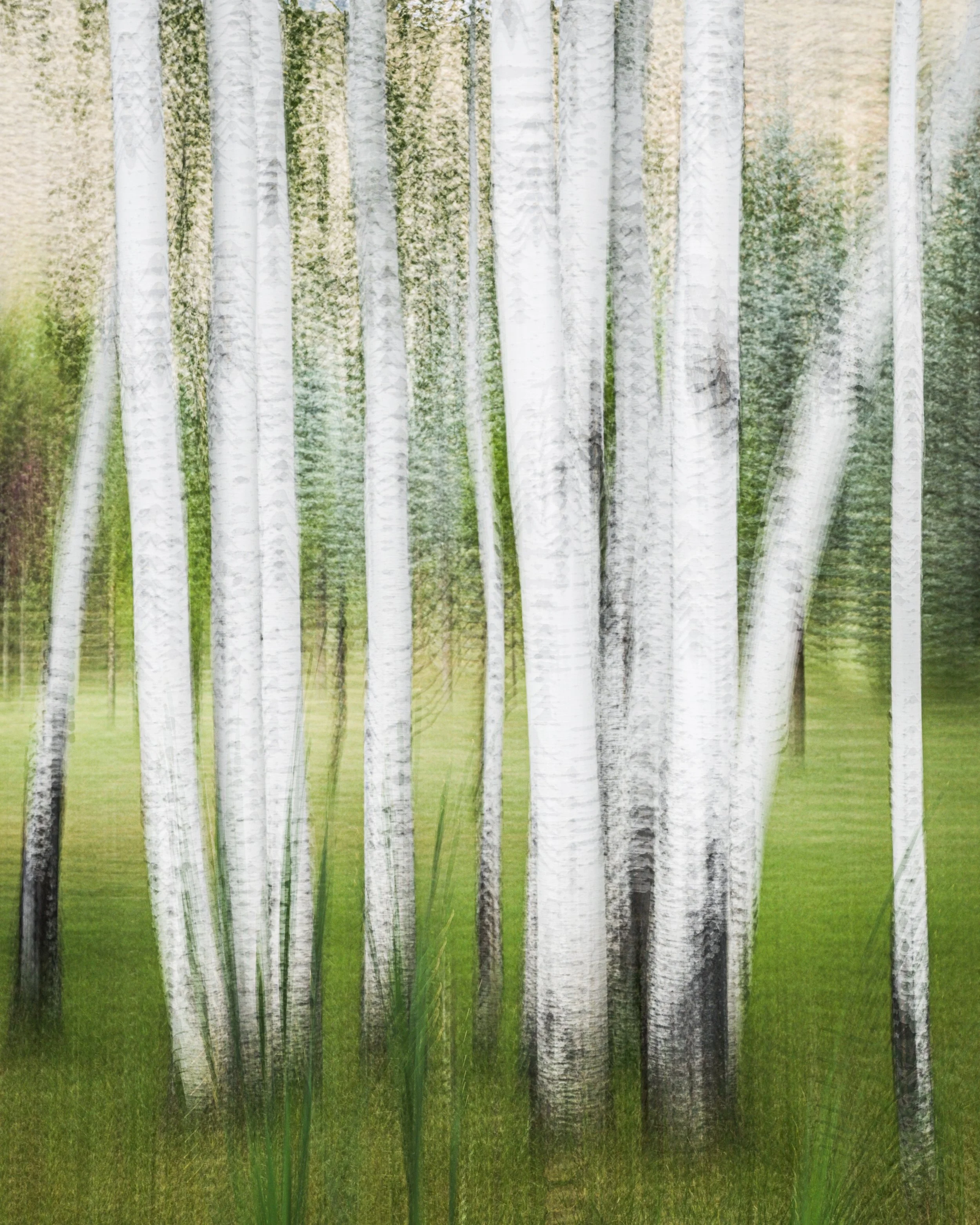 Bill Alley "Aspen Pastel"