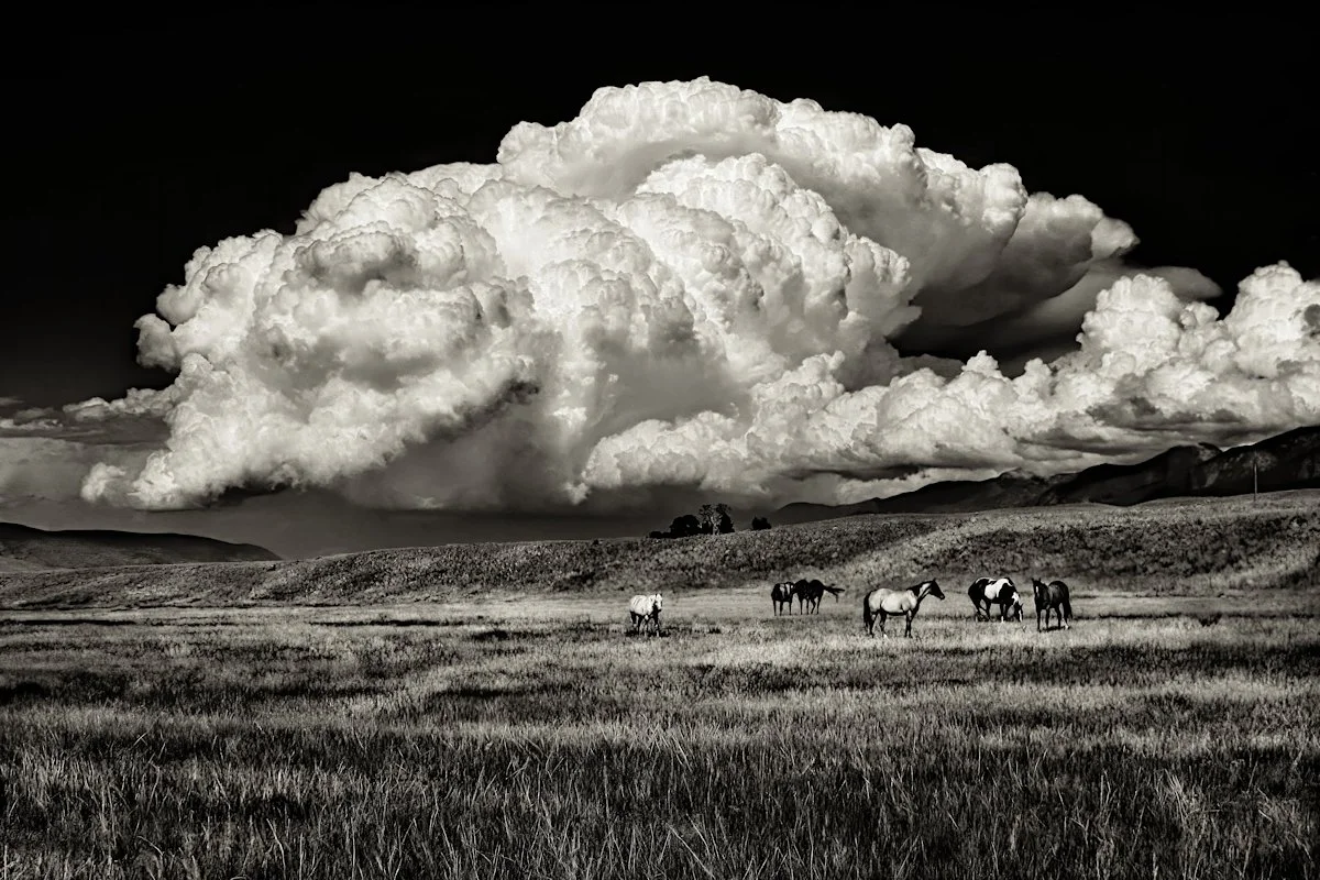 Larry Bean "Paradise Valley" 