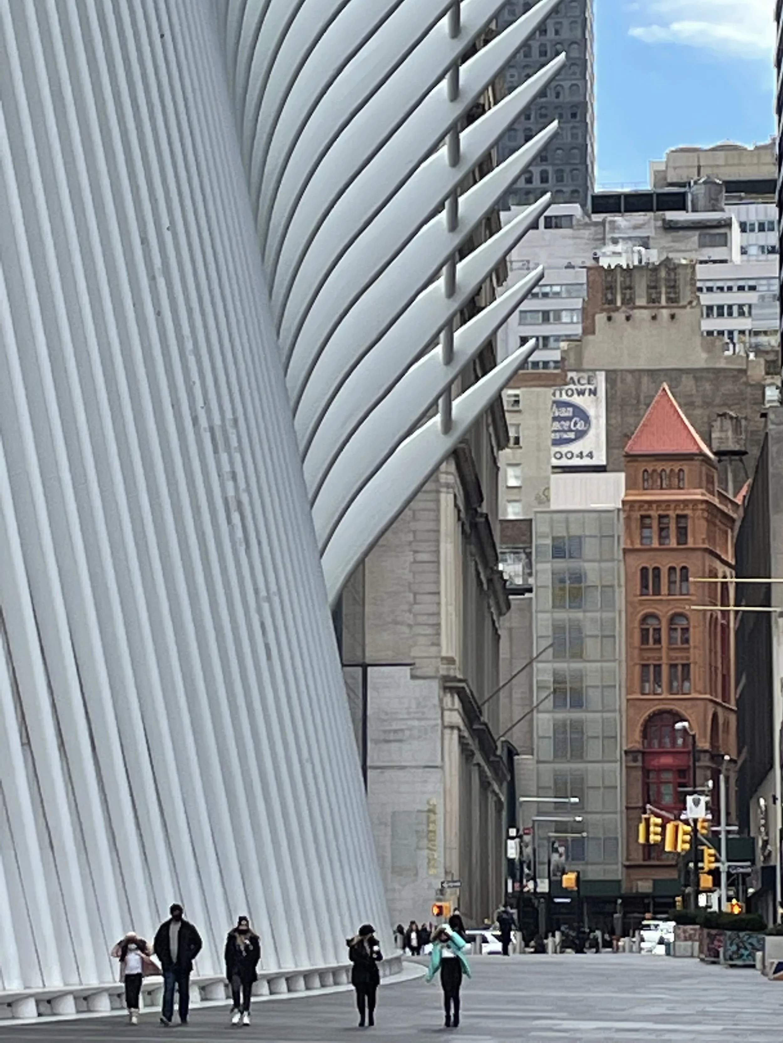 IMG_3112.JPEG