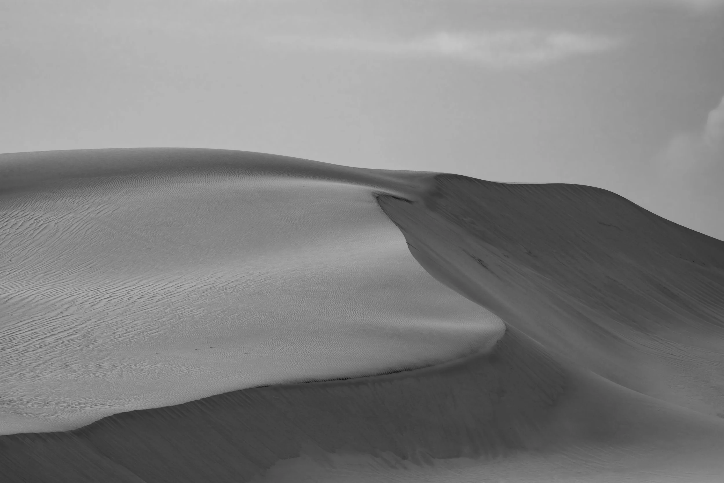 Michael Lee "Dune"