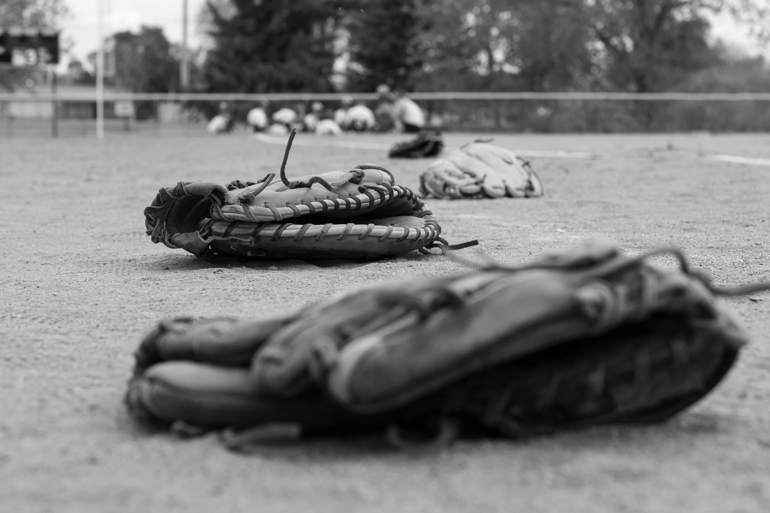 Lena Newlin "Gloves on the Field"