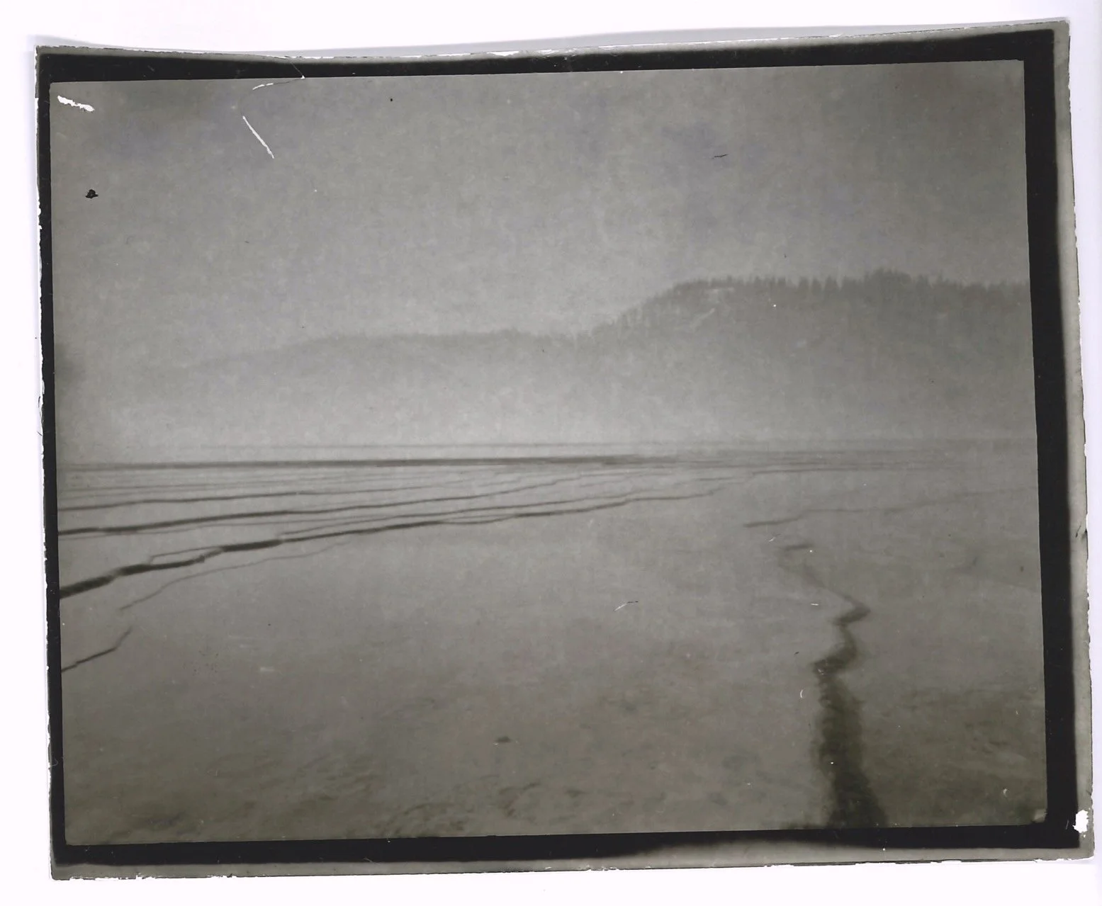 Alicia Fowler "Grand Prismatic"