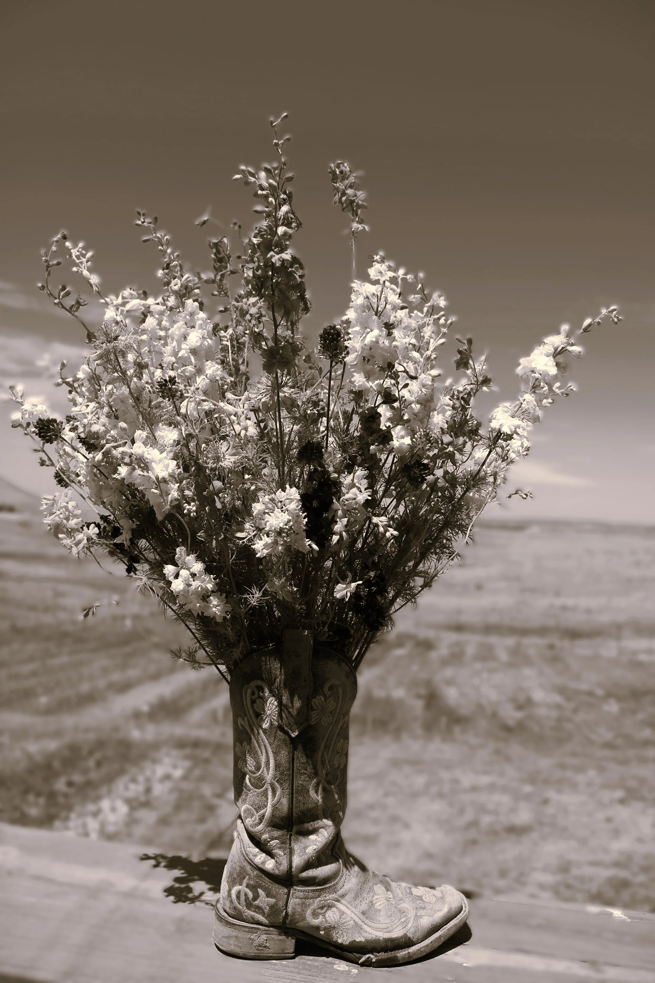 Acadia McLean "Flower Farming in the Wild West"