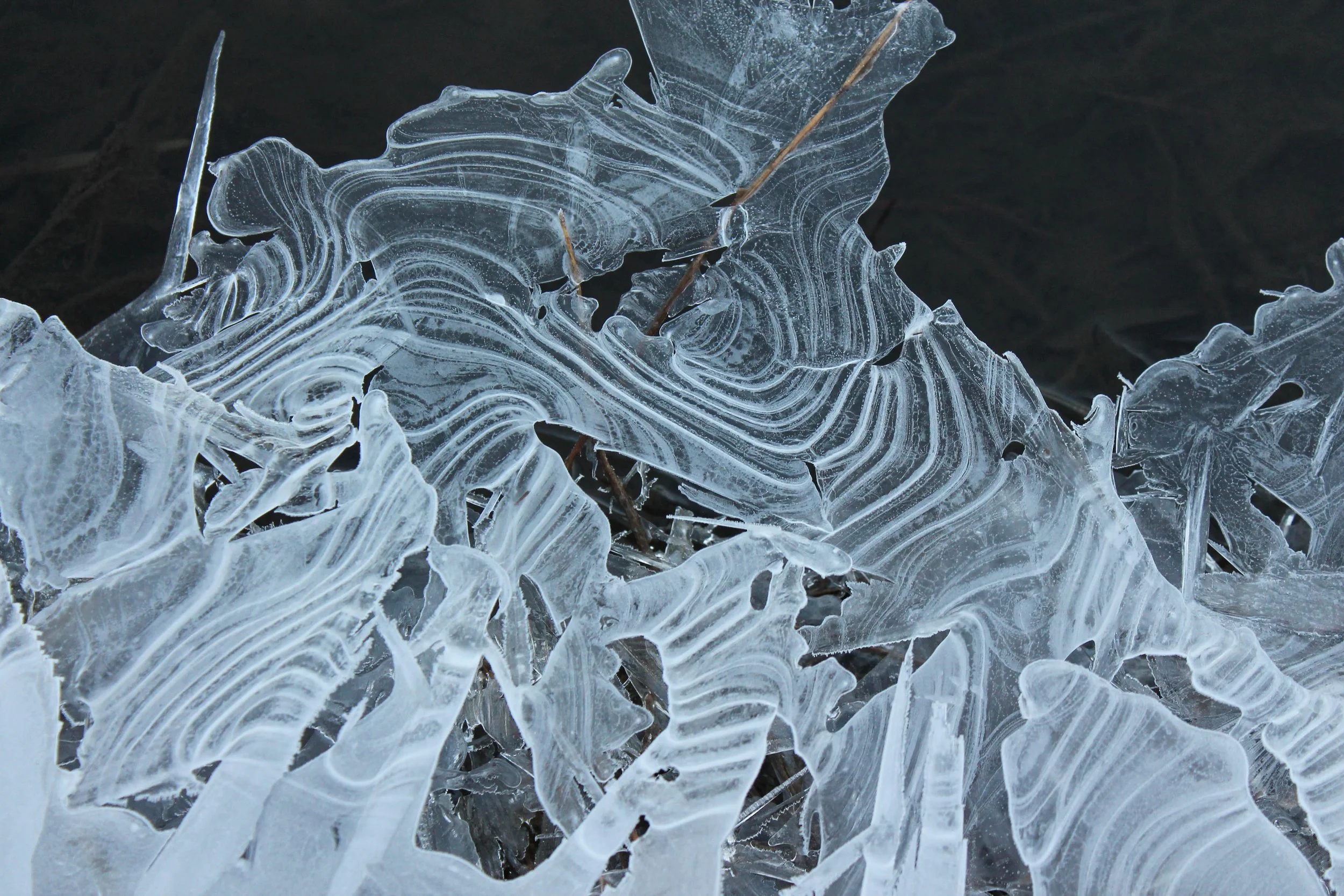 Lena Newlin "Morning Ice On The Laramie River"
