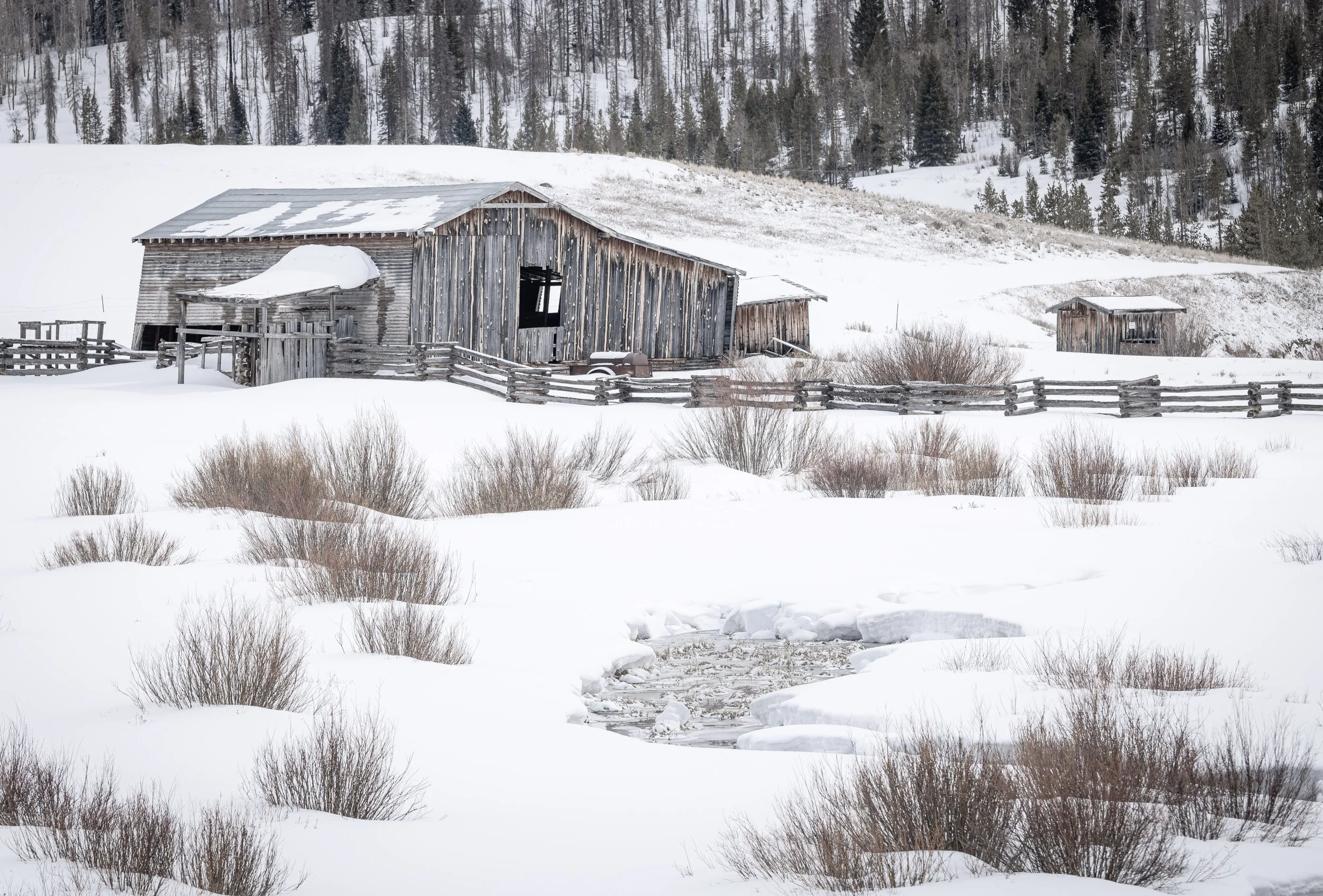 Bill Alley "Where Spring Awaits" 