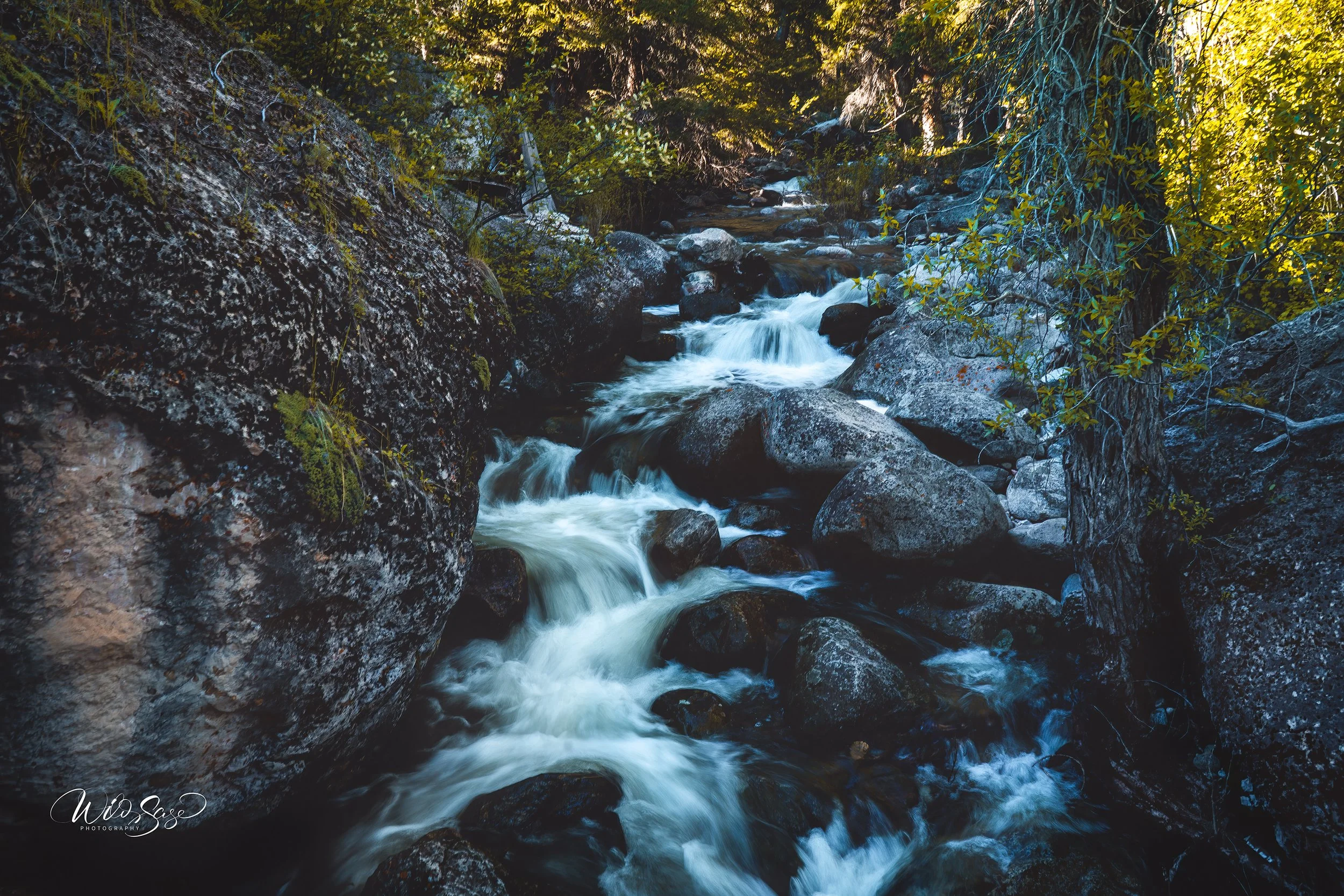 Tyler Sage "Where The Water Remembers"