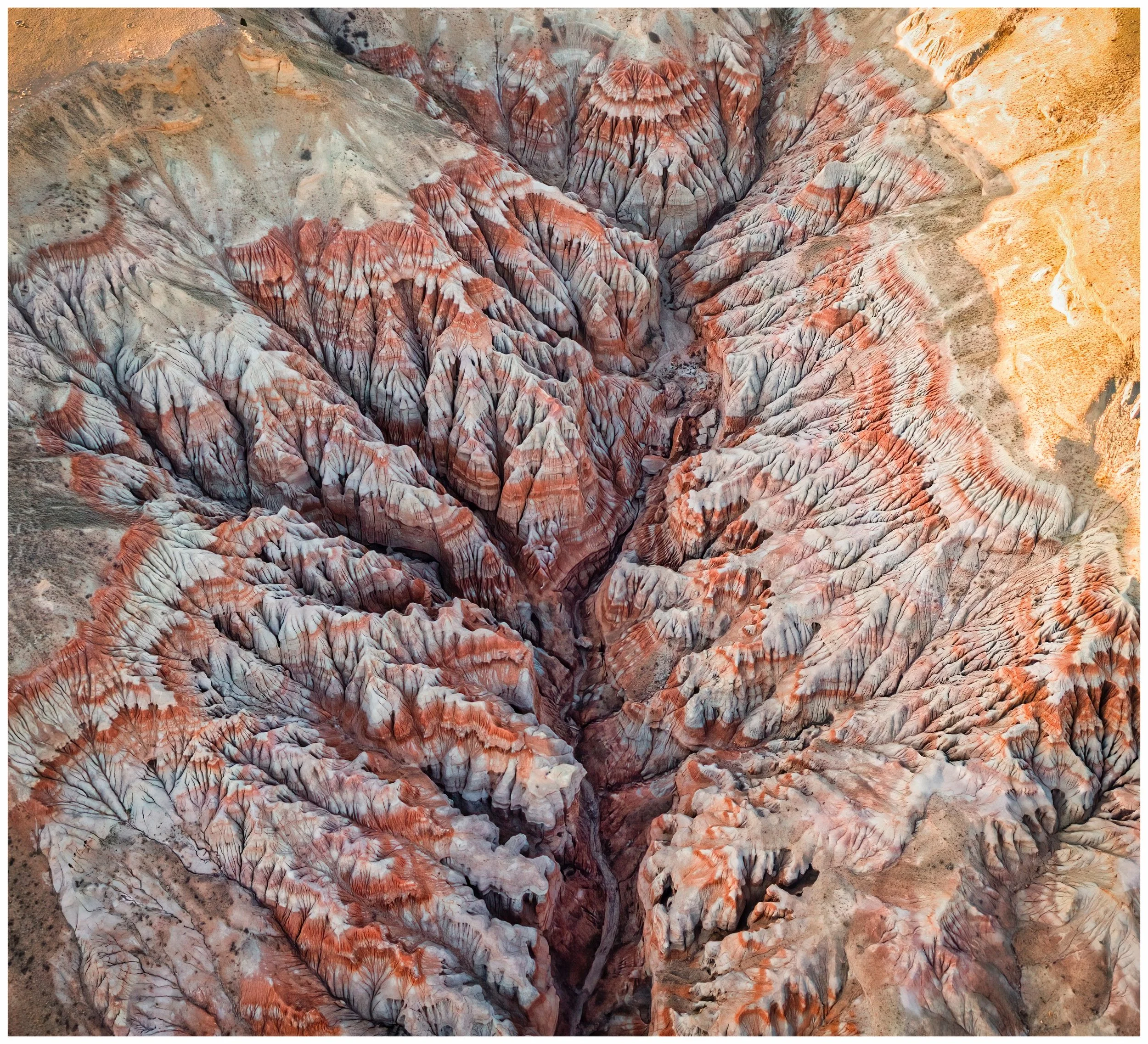 Bill Sincavage "Dubois Badlands Brain"