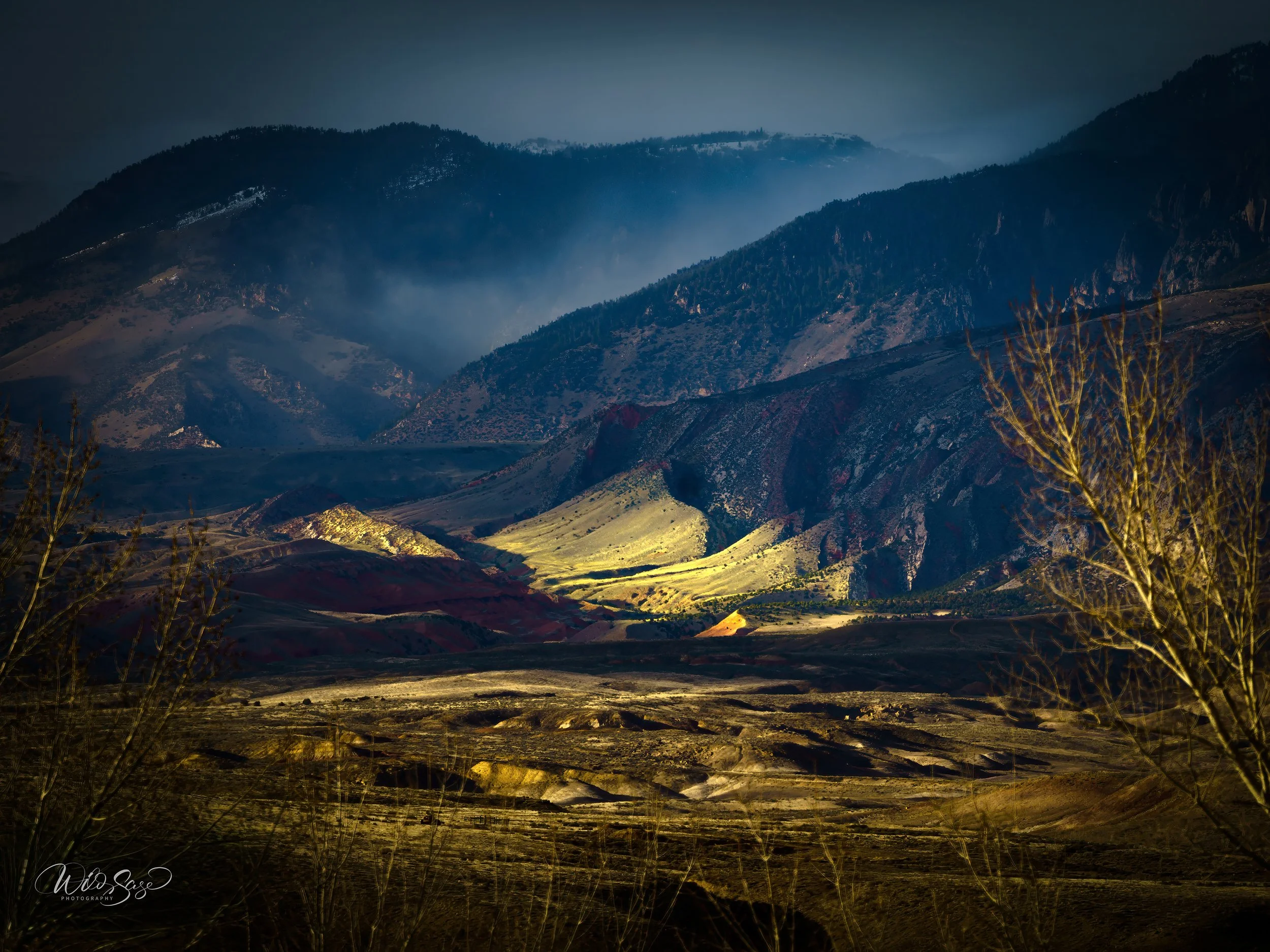 Tyler Sage "Gateway to the Wild"