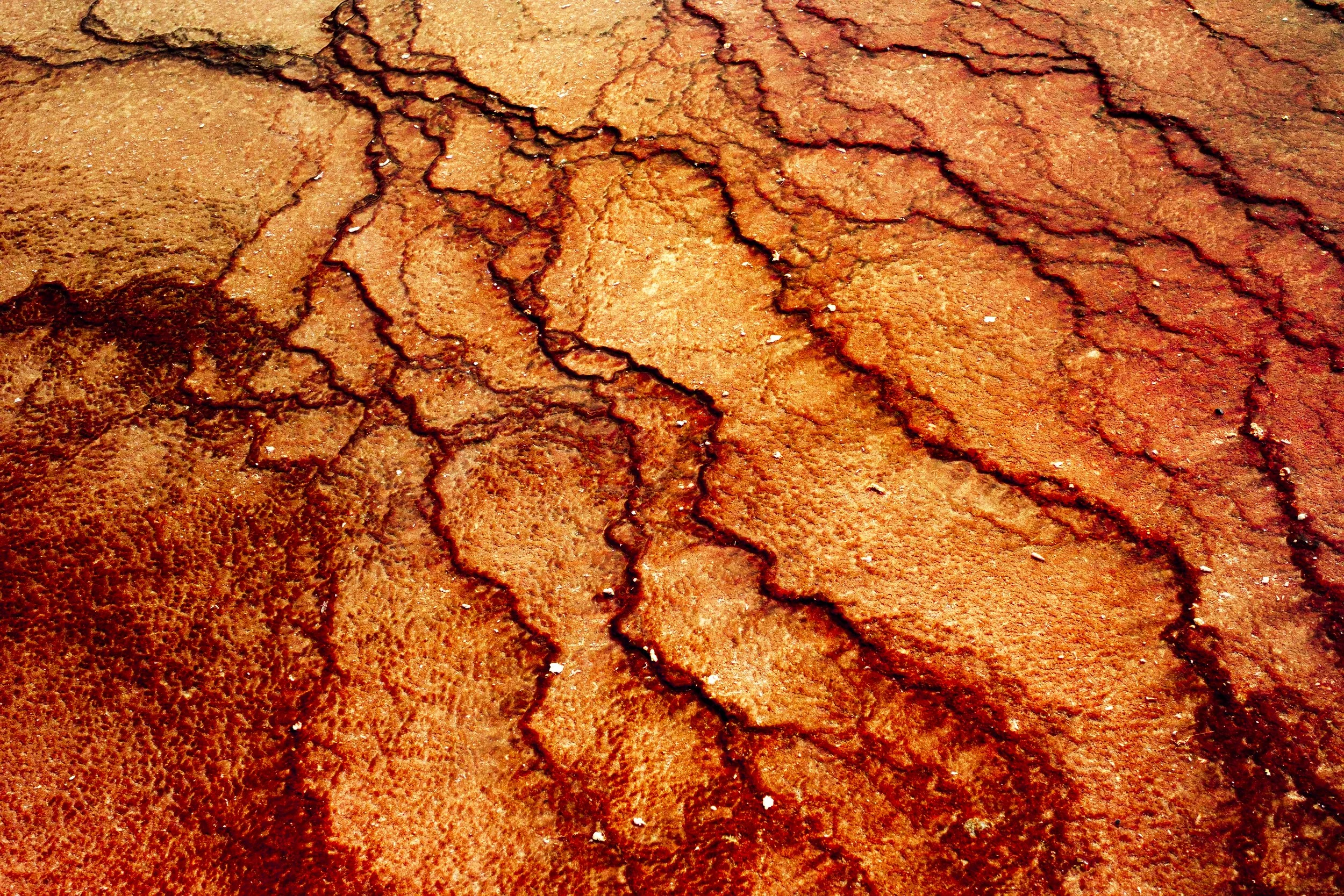 Dalton Kramer "Geologic Script"
