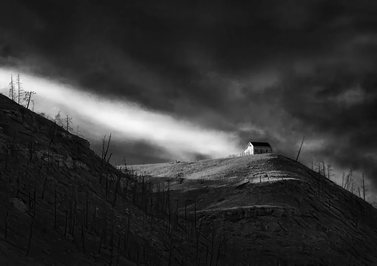 Larry Bean "After The Fire"