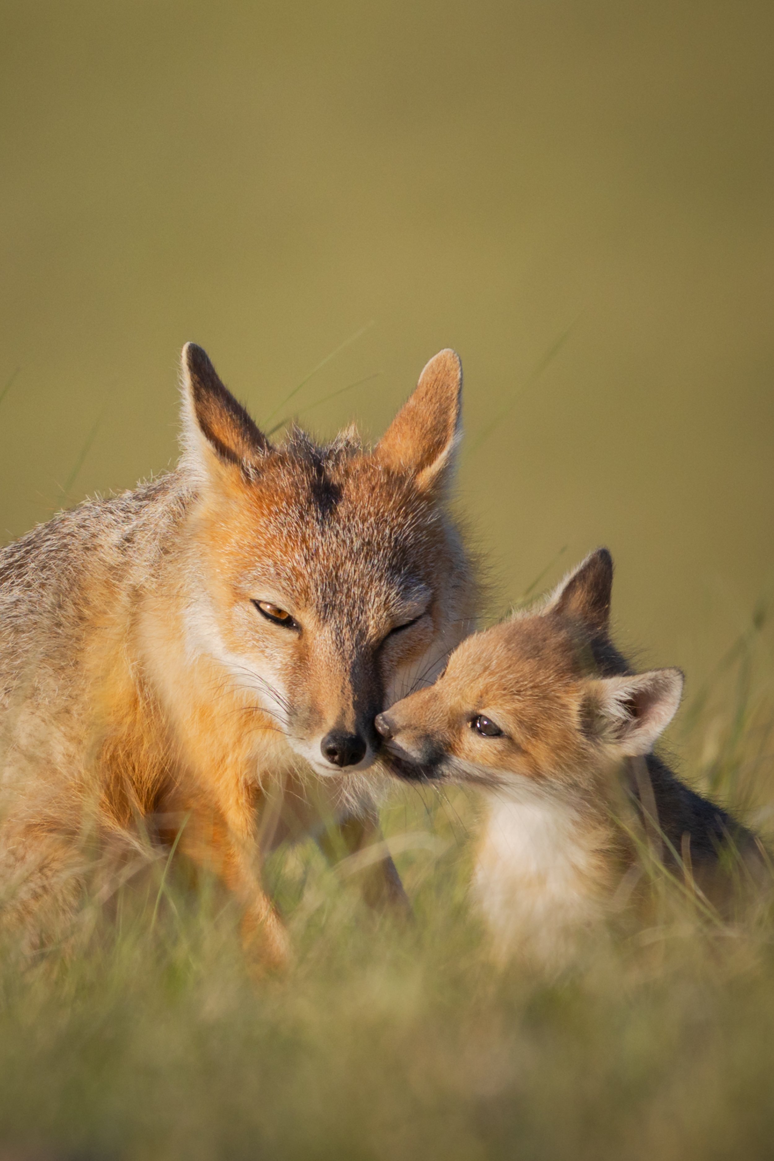 Mark Panasuk "Wink & A Kiss"