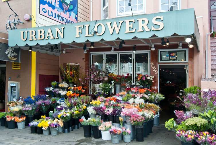 urban-flowers.jpg