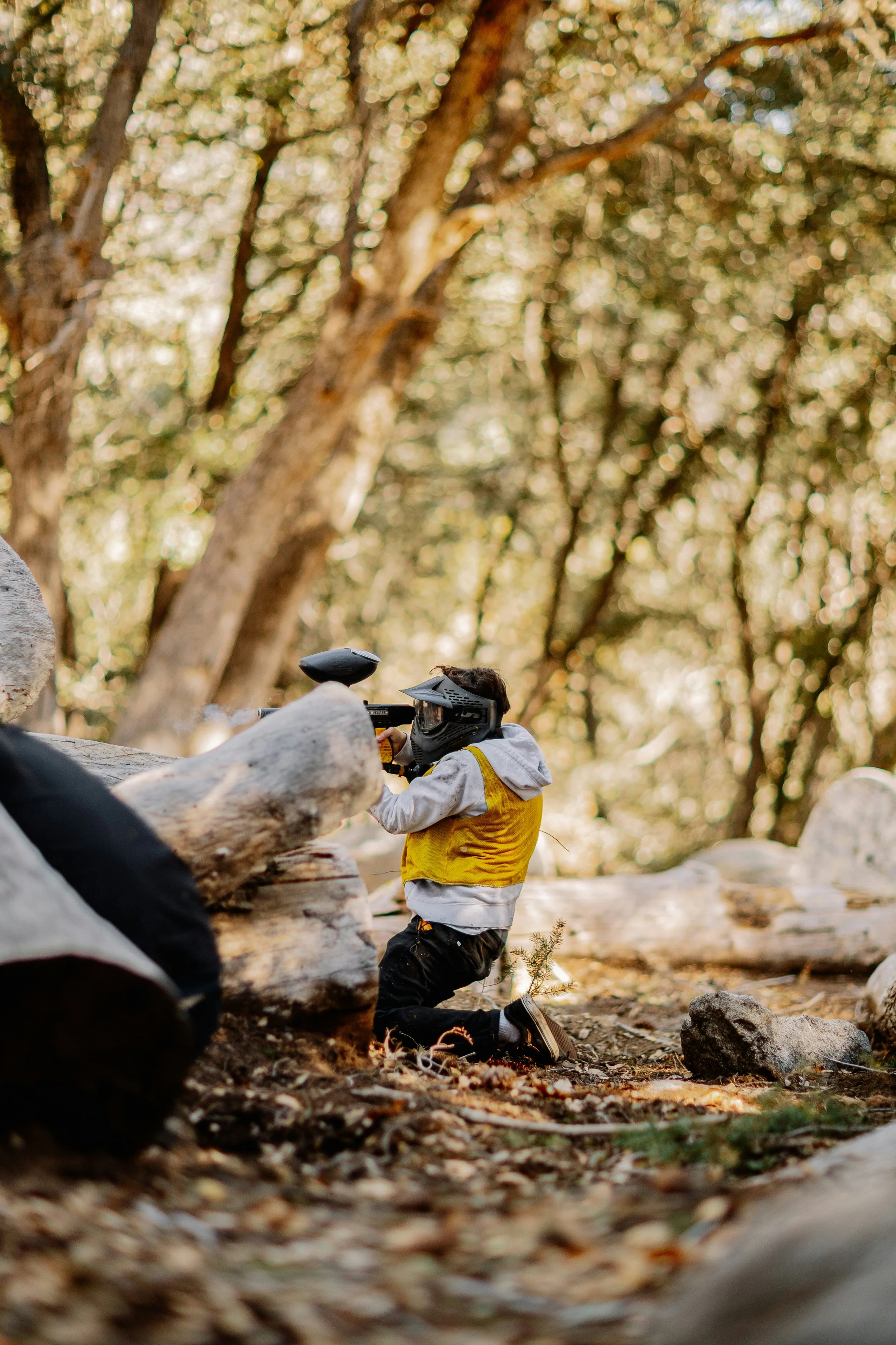 A person wearing a yellow and gray hoodie and a black helmet is hiding behind a large fallen tree trunk in a forest with numerous trees and sunlight filtering through the leaves during a paintball game in central alberta near red deer.
