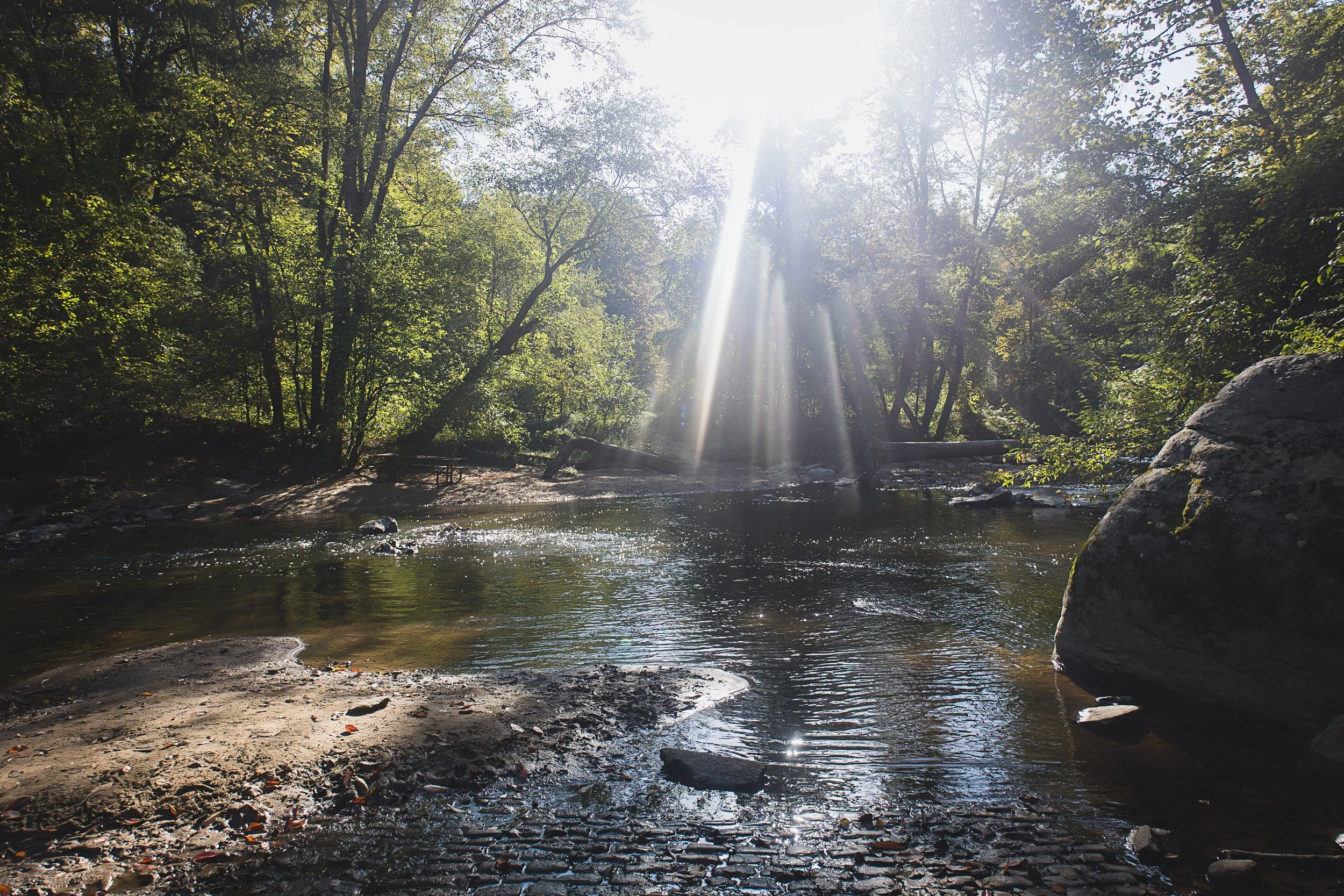 A sunlit scene in Rock Creek Park with trees and a stream running through a rocky and sandy bank.