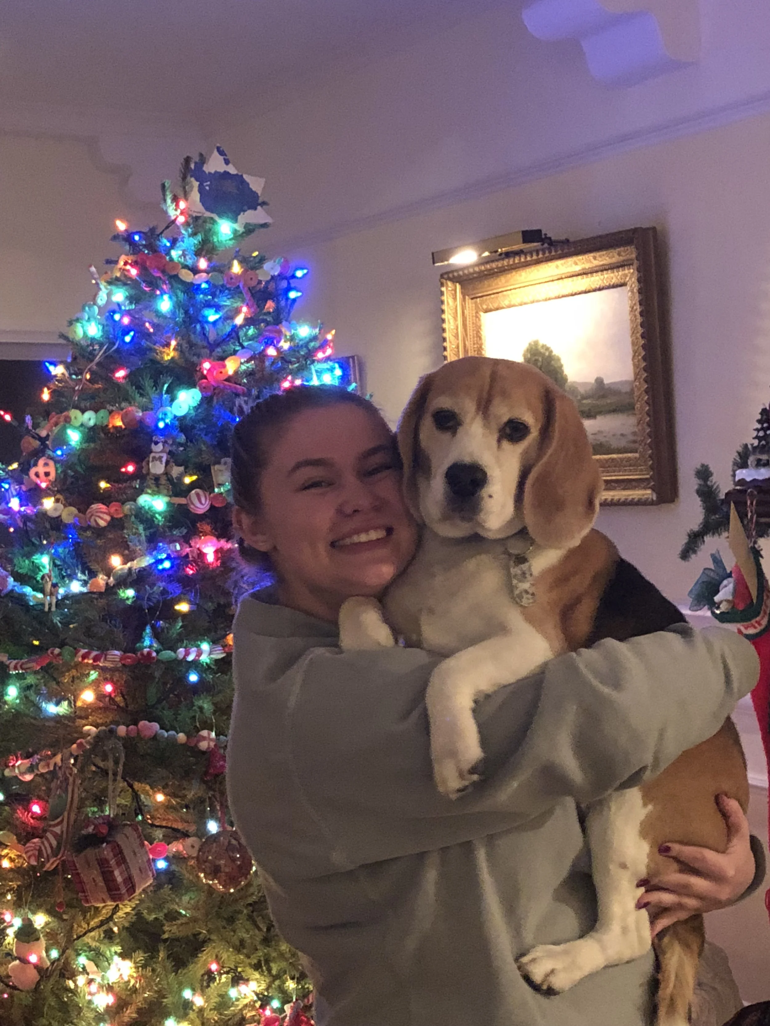 A woman happily holding a beagle puppy in front of a decorated Christmas tree with colorful lights and ornaments and a framed landscape painting on the wall.