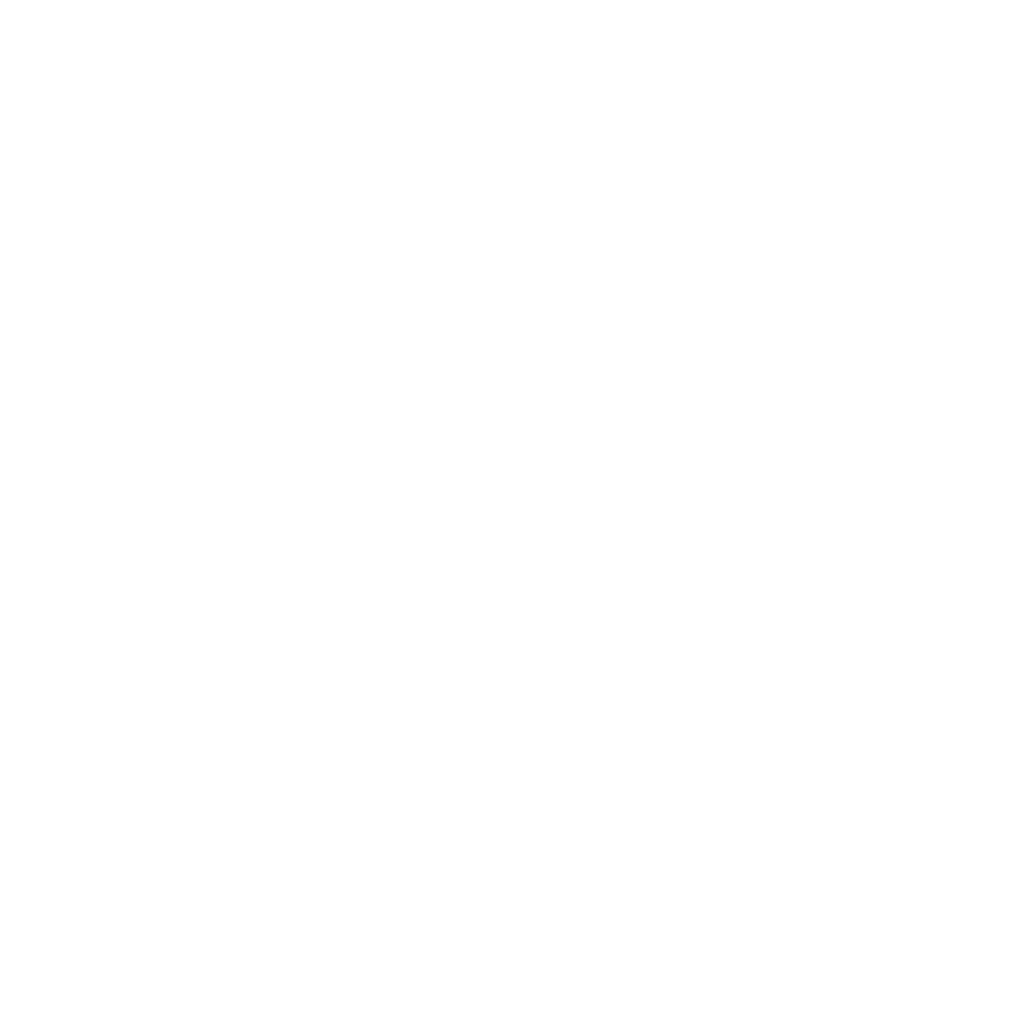 SLIMP RACING