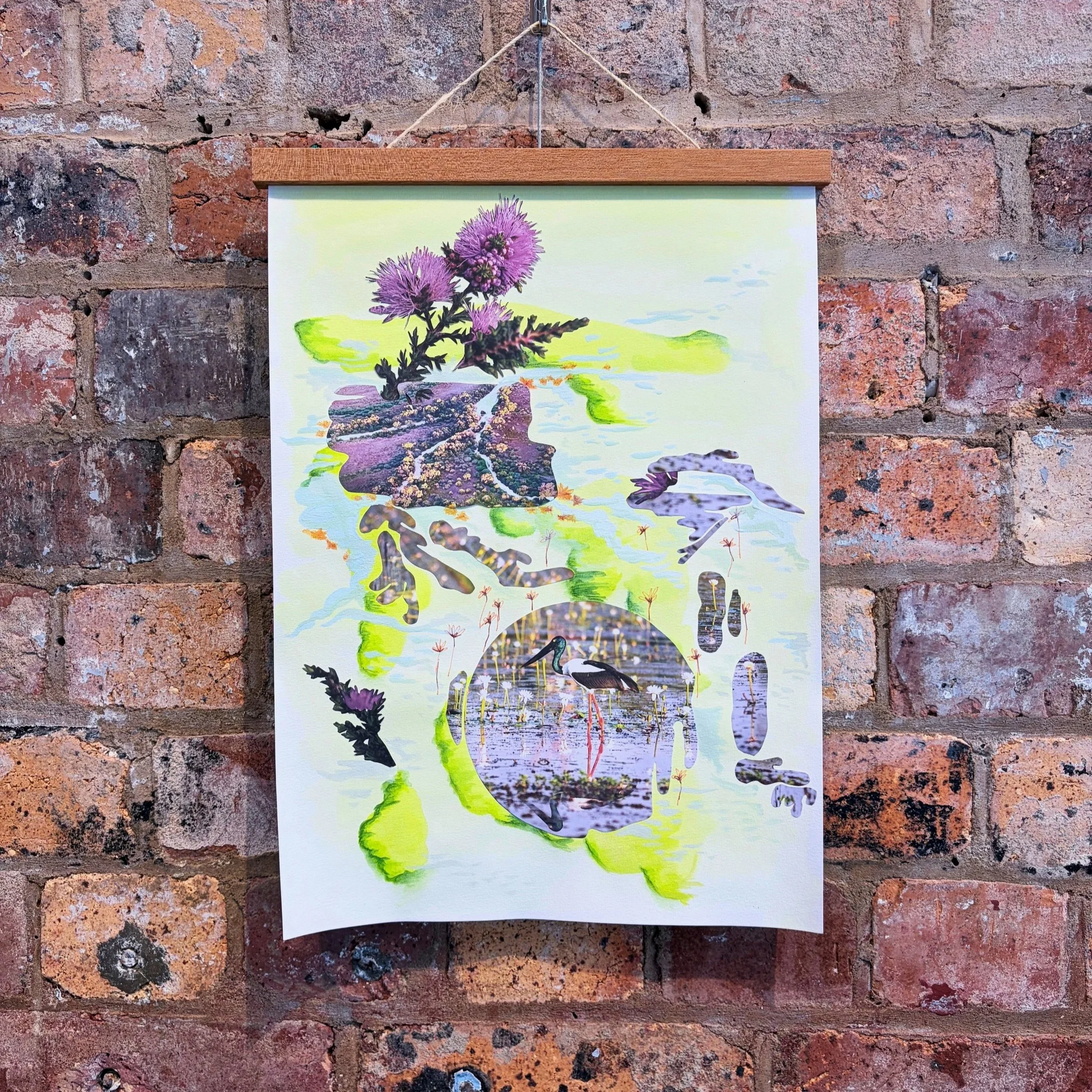 Sarah Youngberry, "Wetlands" (2026). Found images, ink and gouache on paper. 