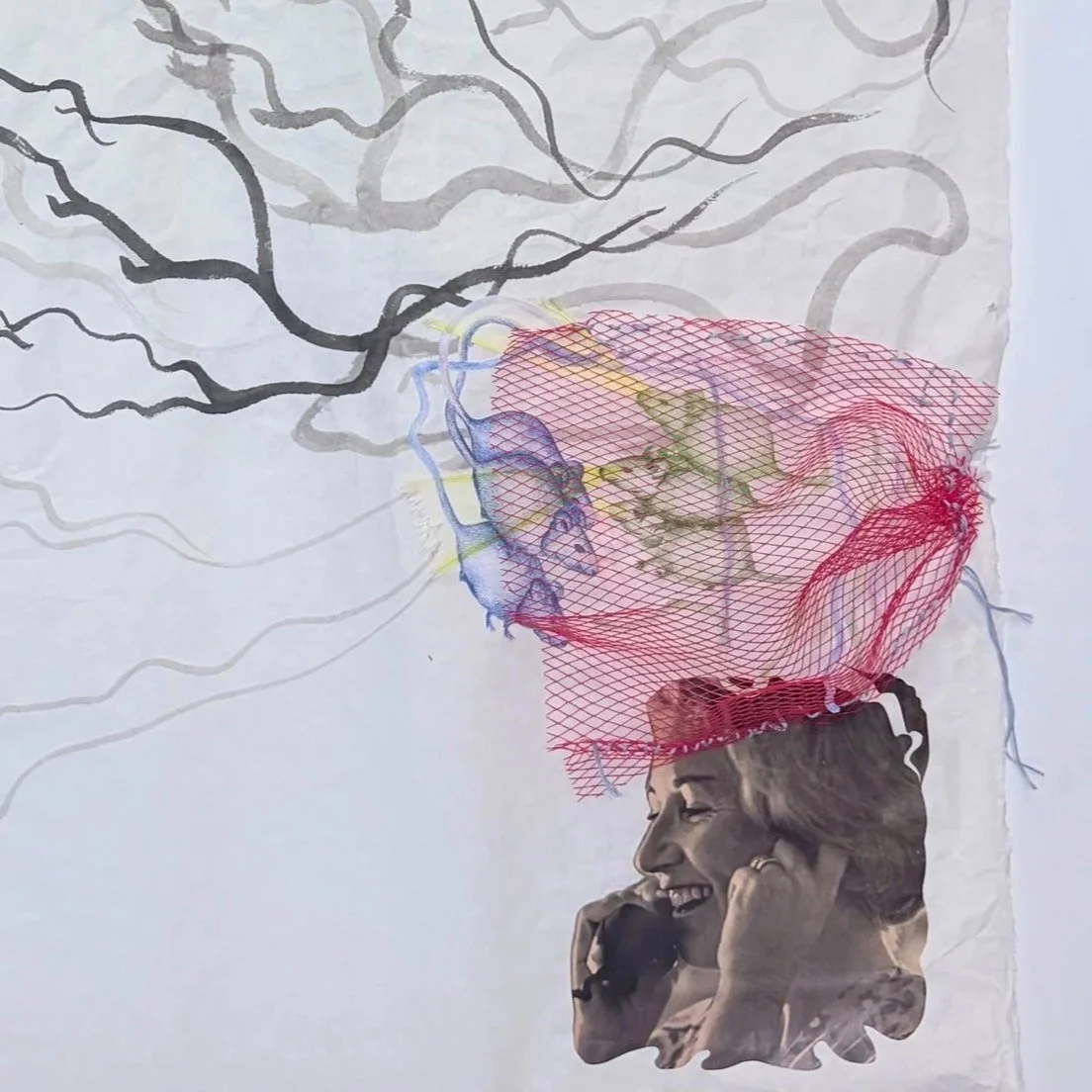 Sarah Youngberry, "Commensal" detail (2026). Found images, fruit netting, pencil and meok ink on hanji paper.