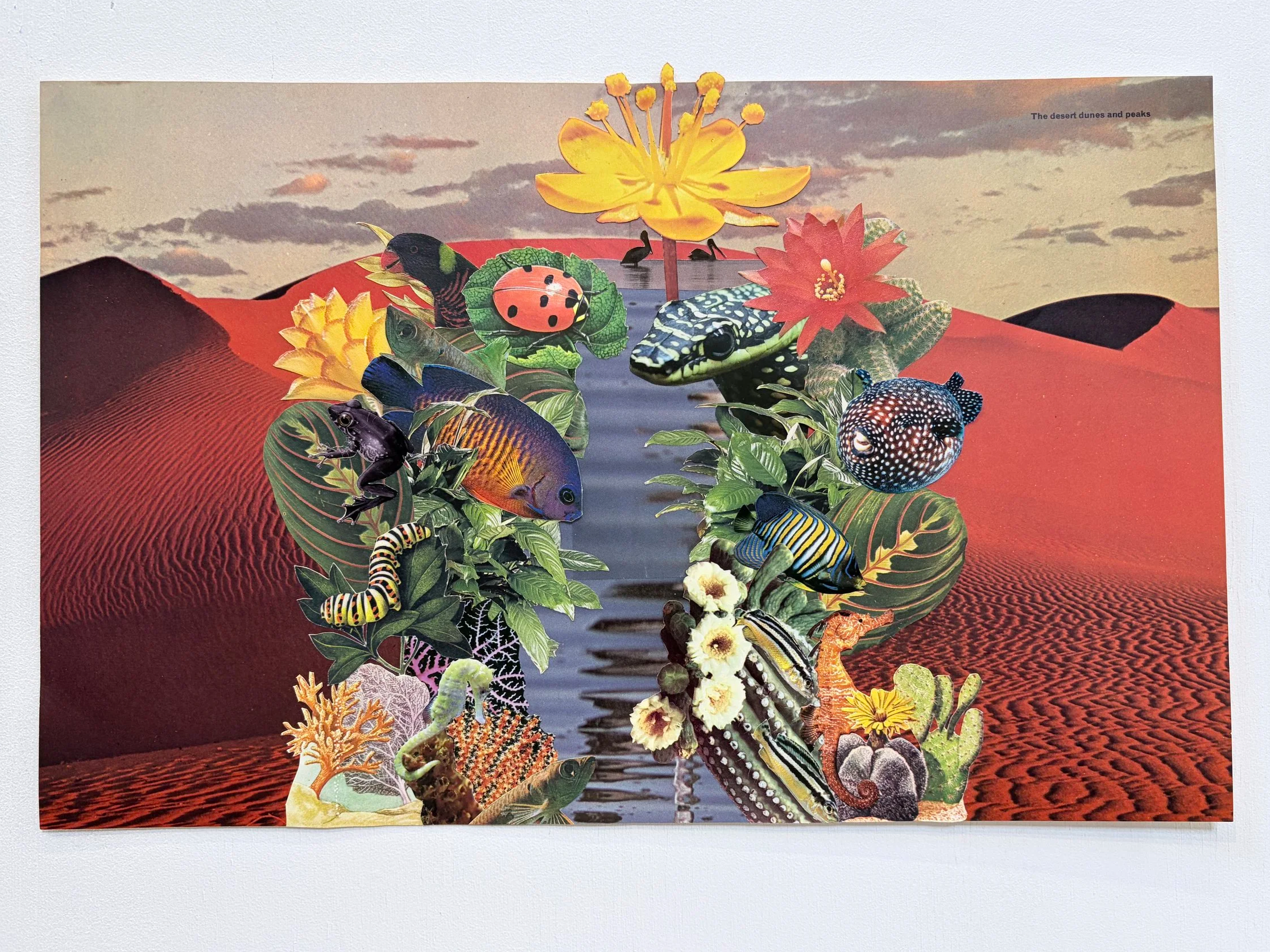 Rhiannon Robins, "Mirage" (2026). Found images on paper.