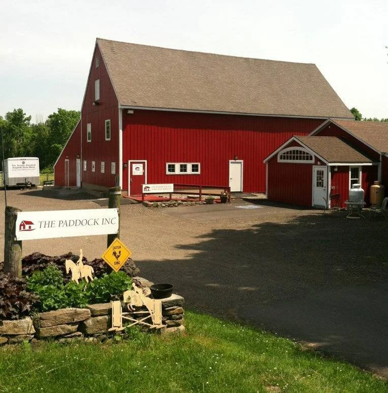 Red barn with white doors and windows, part of a building complex labeled 'The Paddock Inc,' surrounded by a gravel driveway and green grass, with decorative wooden farm animal figures and a caution sign in the foreground.