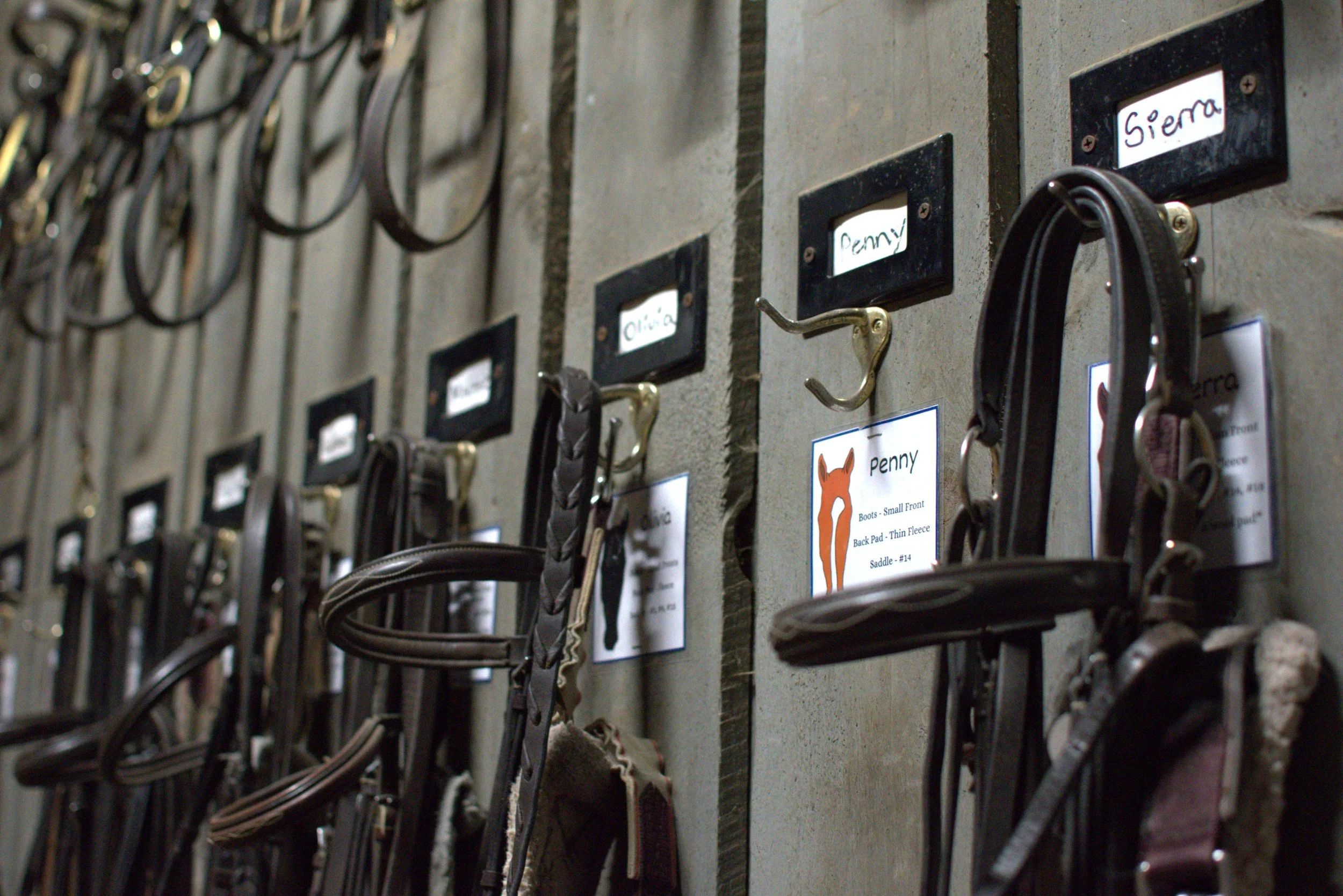 Wall with hooks holding horse riding equipment, with labels for different horse sizes and types.