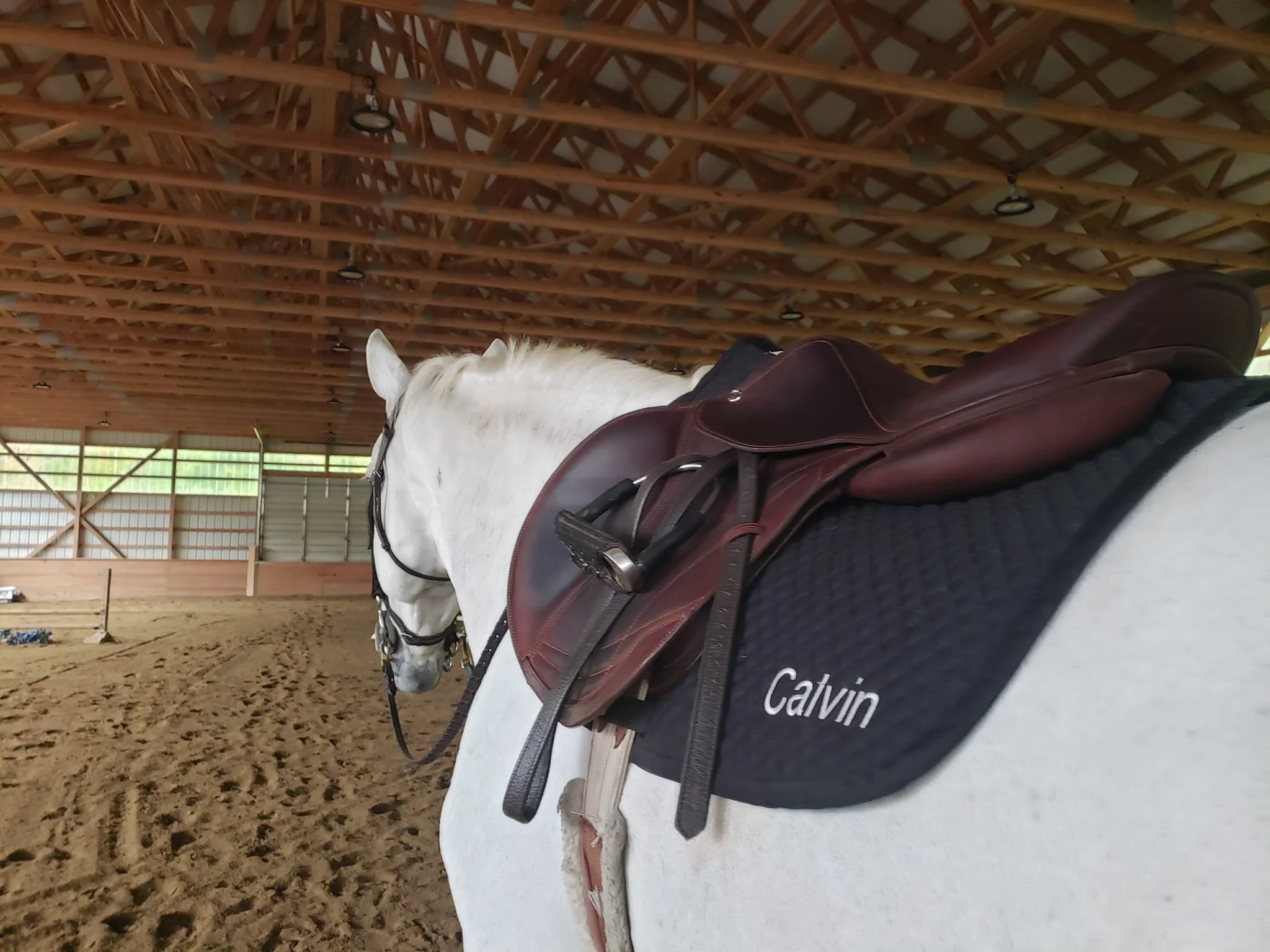 A grey horse with a saddle under a wooden roof structure.