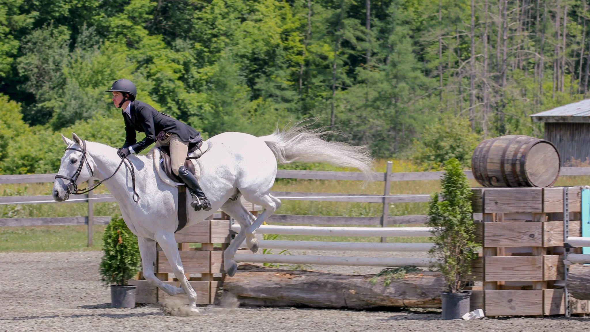A person in formal riding attire, including a black helmet and jacket, riding a horse in an equestrian jumping event outdoors. The horse is mid-jump over a wooden obstacle with green plants and a barrel nearby, with trees and a rustic barn in the background.