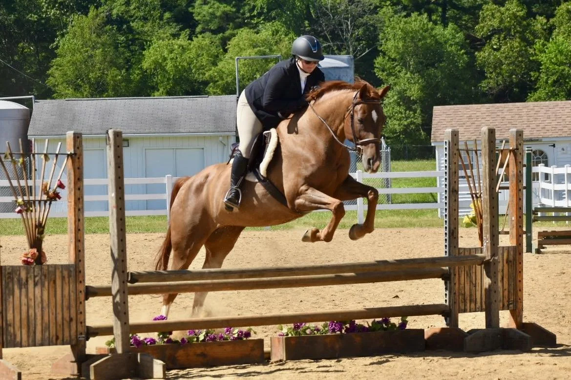 A person wearing a helmet and black riding jacket riding a brown horse jumps over a wooden obstacle during an equestrian show on a sunny day.