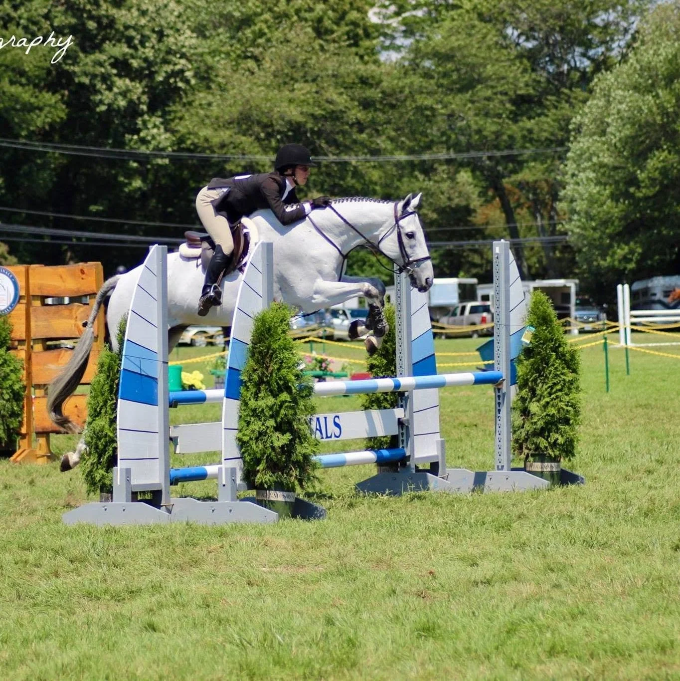 A person in formal riding attire, including a black helmet and jacket, riding a horse in an equestrian jumping event outdoors. The horse is mid-jump over a wooden obstacle with green plants and a barrel nearby, with trees and a rustic barn in the background.