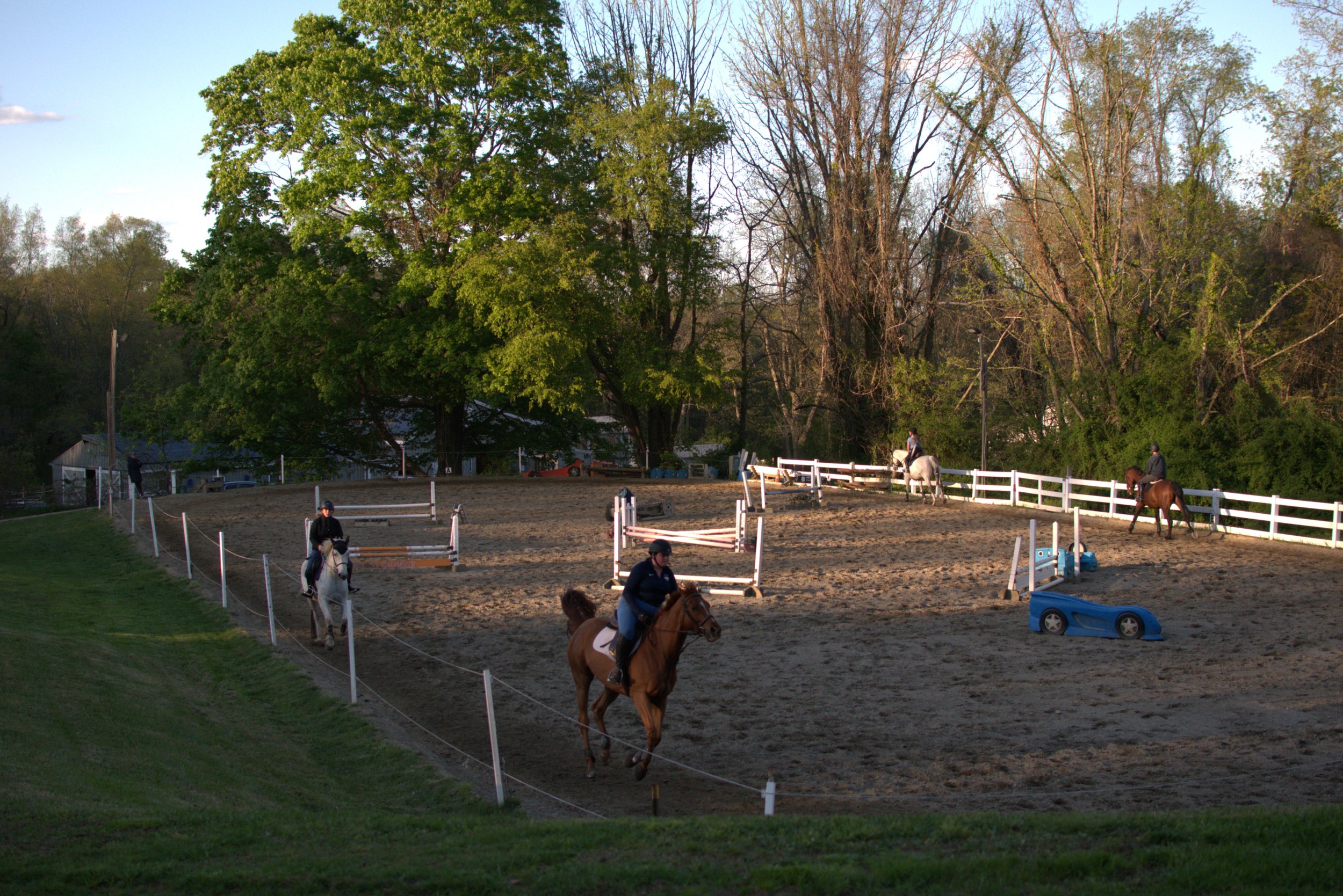 An outdoor horse riding arena with multiple riders on horses, some jumping over obstacles. Tall trees surround the area, and there's a white fence enclosing the arena.