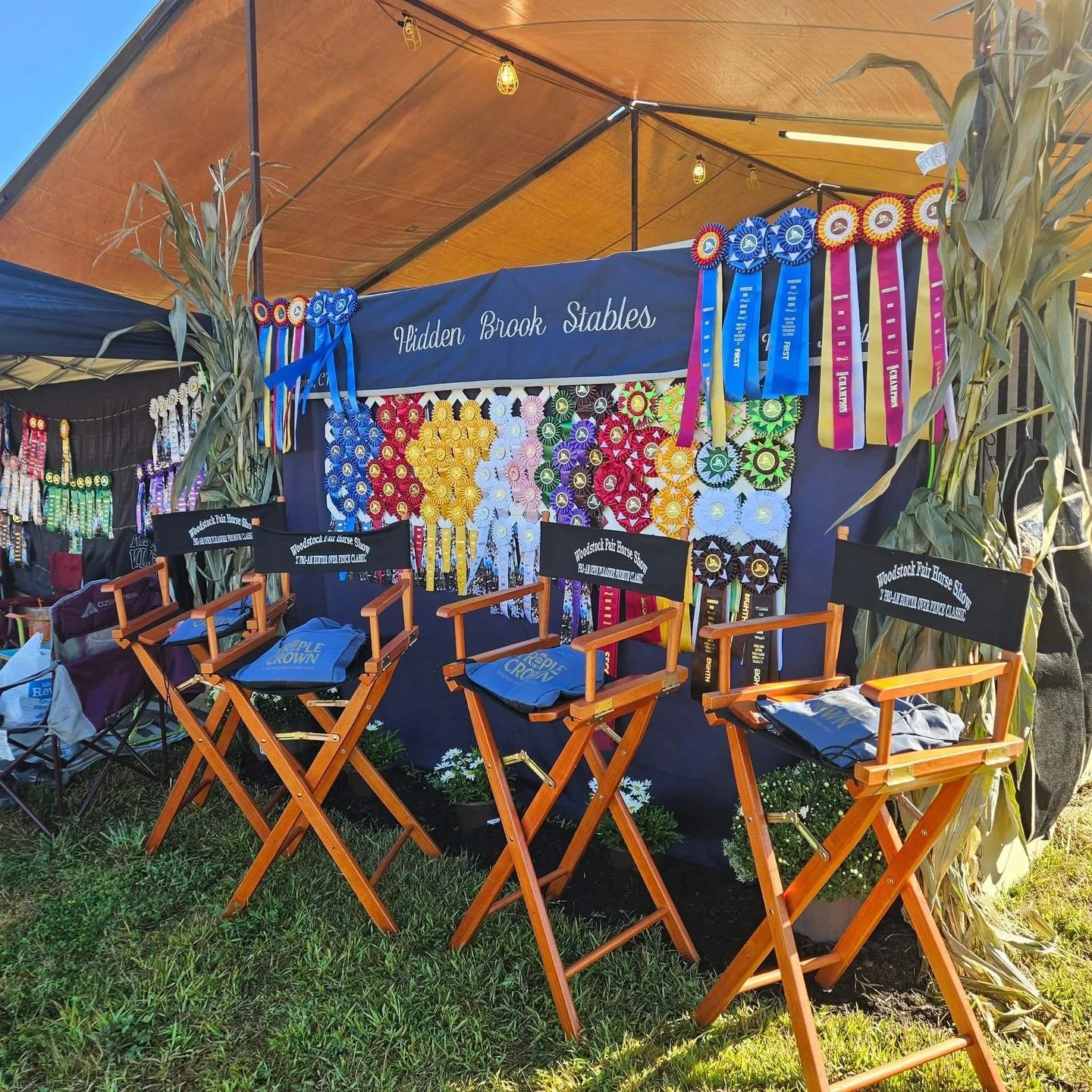 Display booth at a fair with achievement ribbons in various colors hanging on a blue backdrop labeled 'Hidden Brook Stables.' Three wooden chairs with 'Woodstock Fair Horse Show' printed on the backs are arranged in front of the booth, and two large corn stalks are positioned on each side. The ribbons are arranged by color and award level, including blue, red, yellow, purple, green, black, and white.