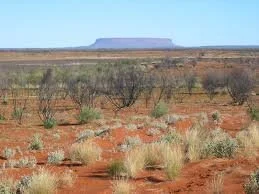 Remote rural NSW road – servicing properties across the region
