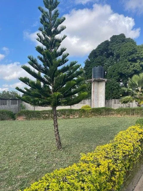 WhatsApp Image 2026-04-25 at 10.42.02 AM (1).jpeg