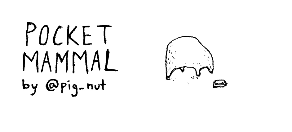 Pocket Mammals